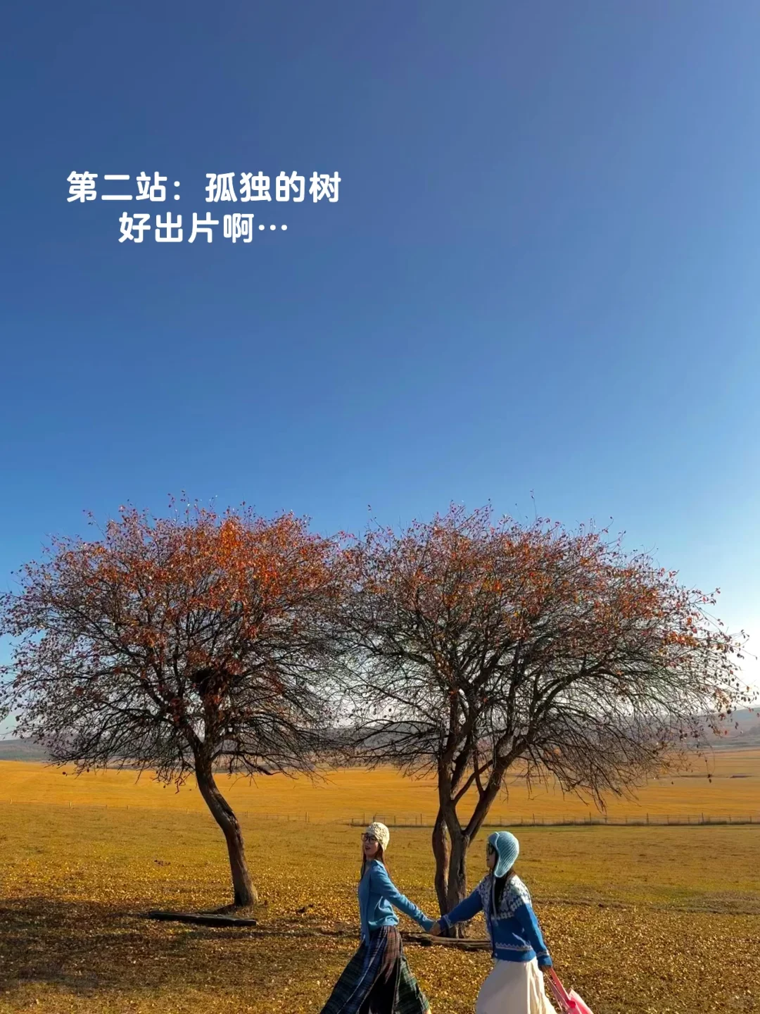 10.3塞罕坝!御道口!实况!!好美!!(攻略)