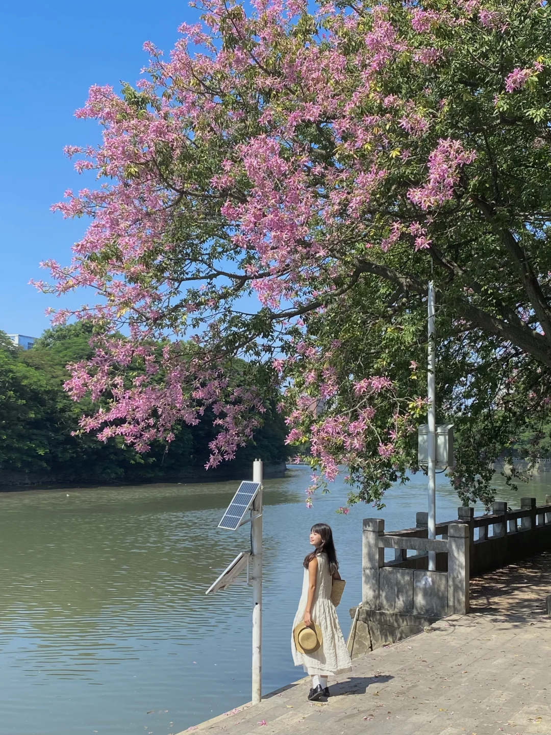 “后来我便逢人就说…秋天的广州有多美‼”