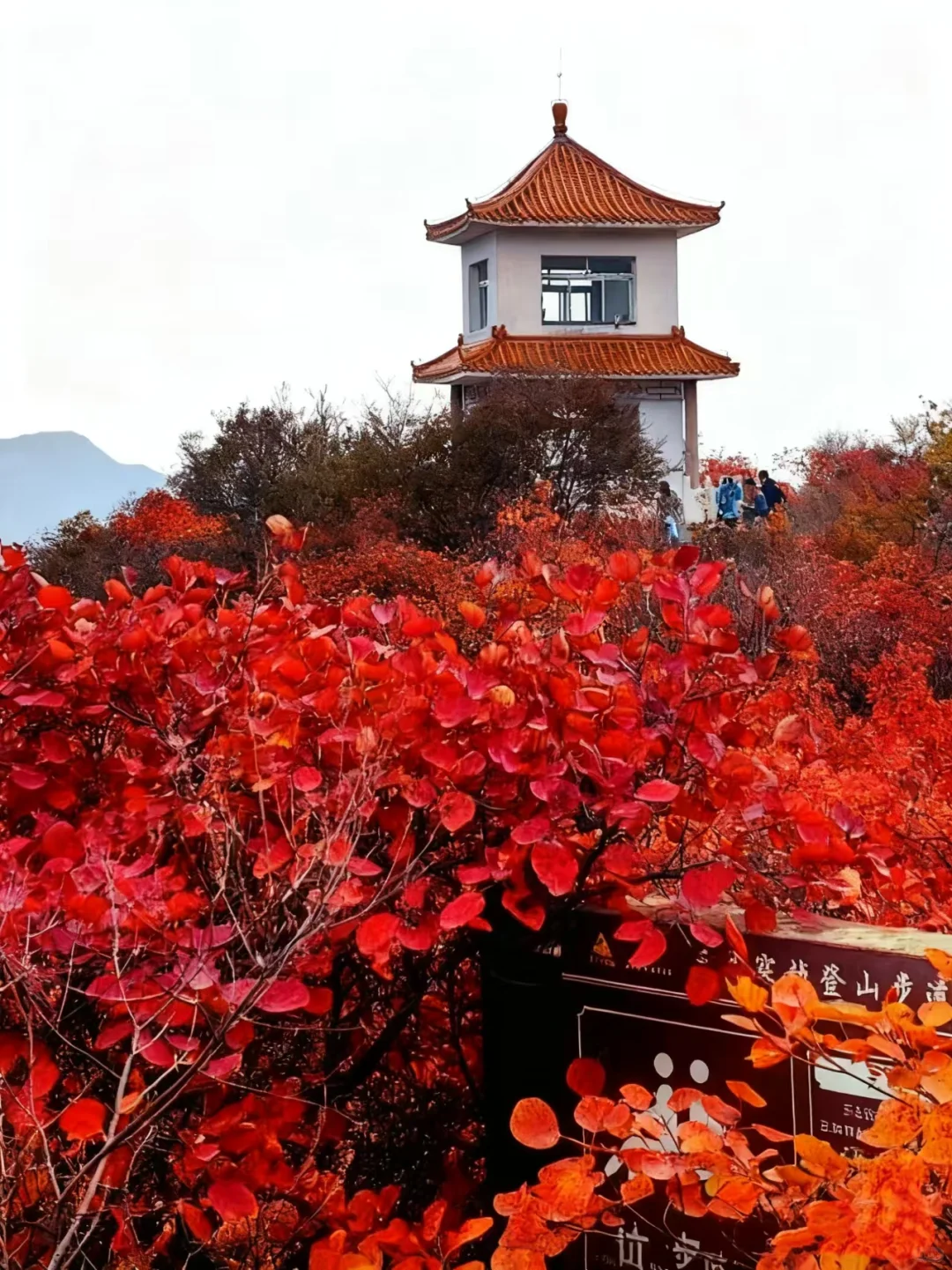 京郊红叶秘境｜药王谷徒步攻略｜人少景美