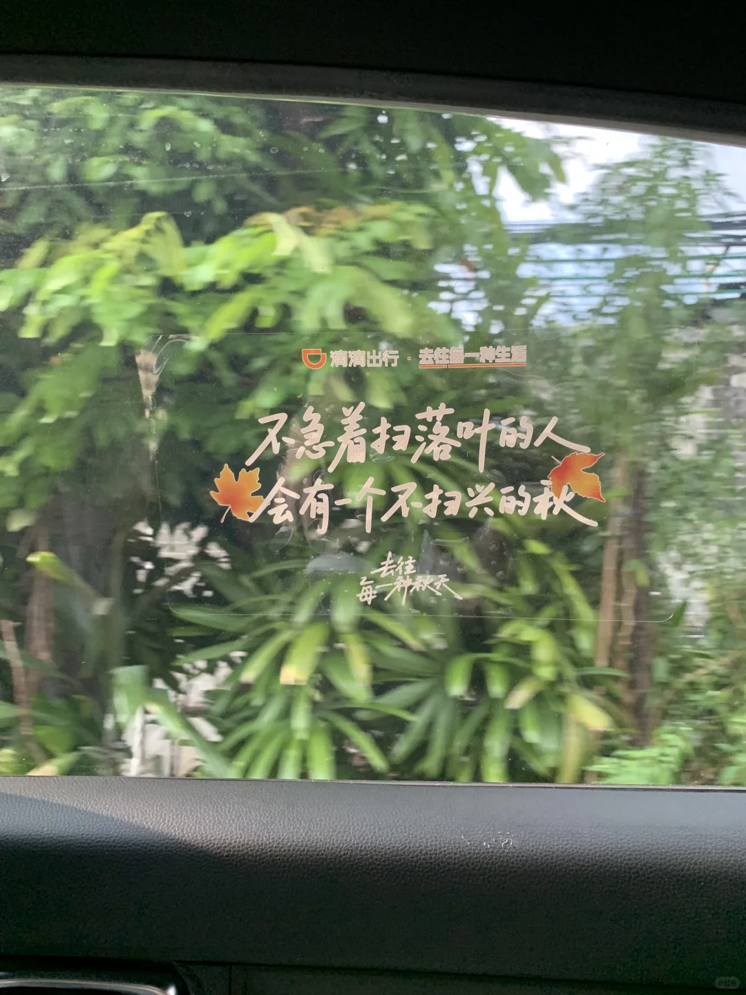 “后来我便逢人就说…秋天的广州有多美‼”