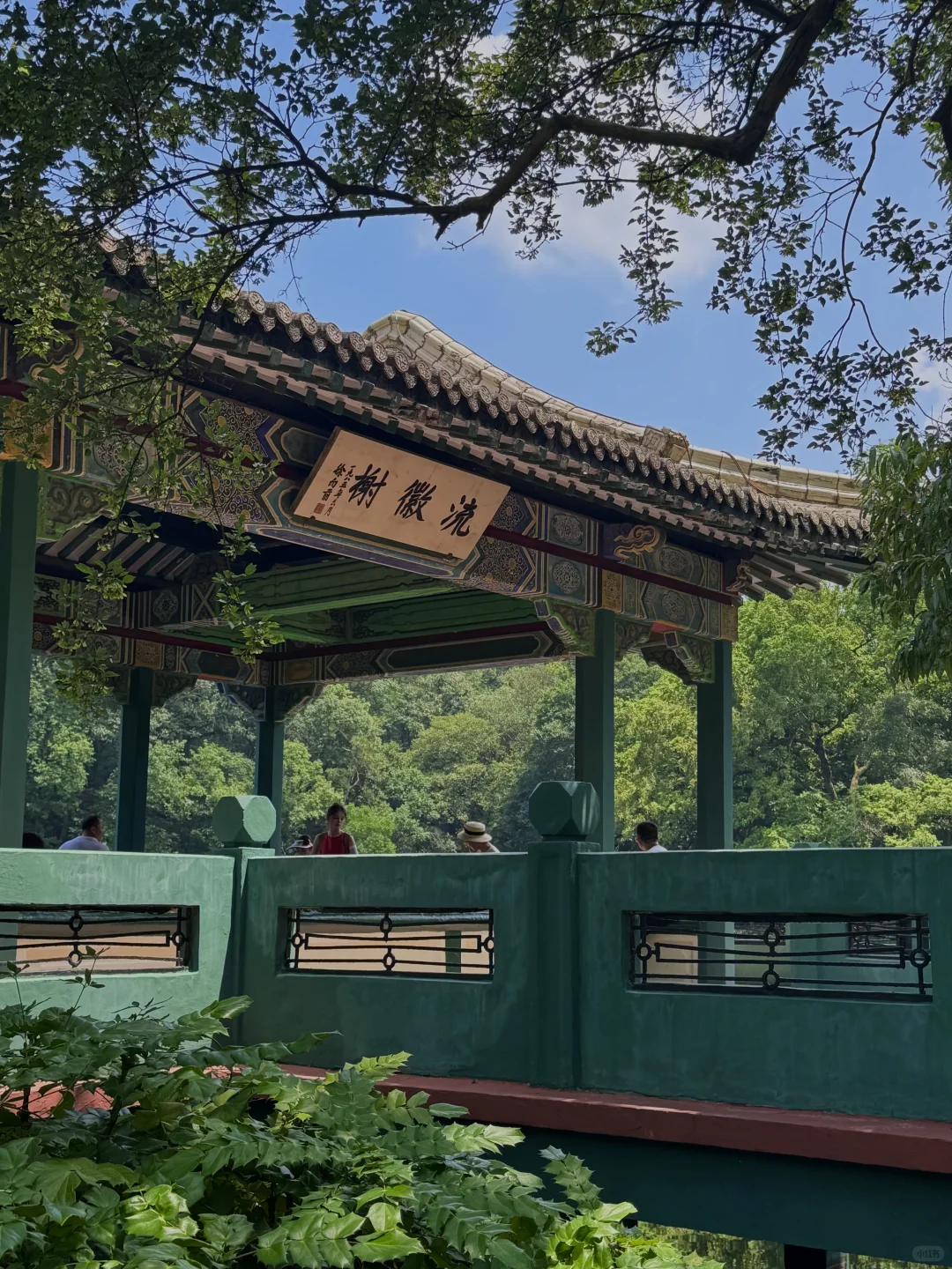 比起中山陵，我更爱逛她边上这个小众景点🍃
