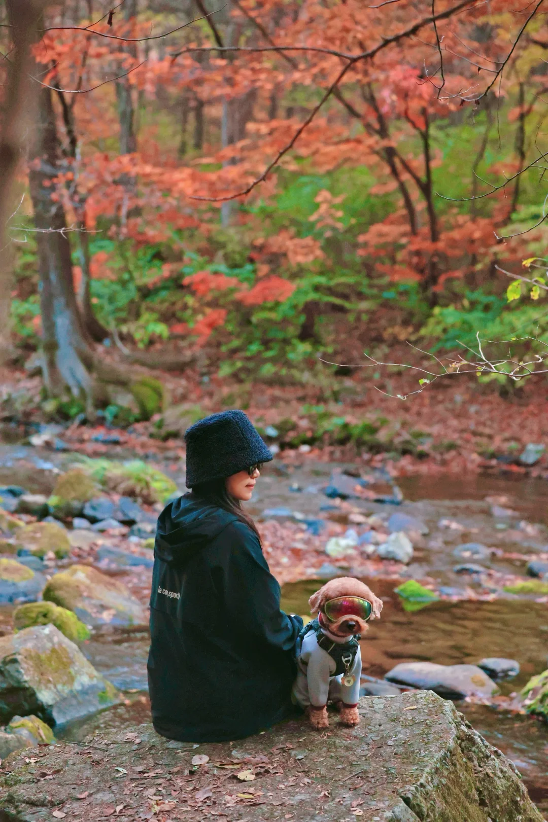 10.14此刻本溪枫叶季已封神🍁｜附两个免费点