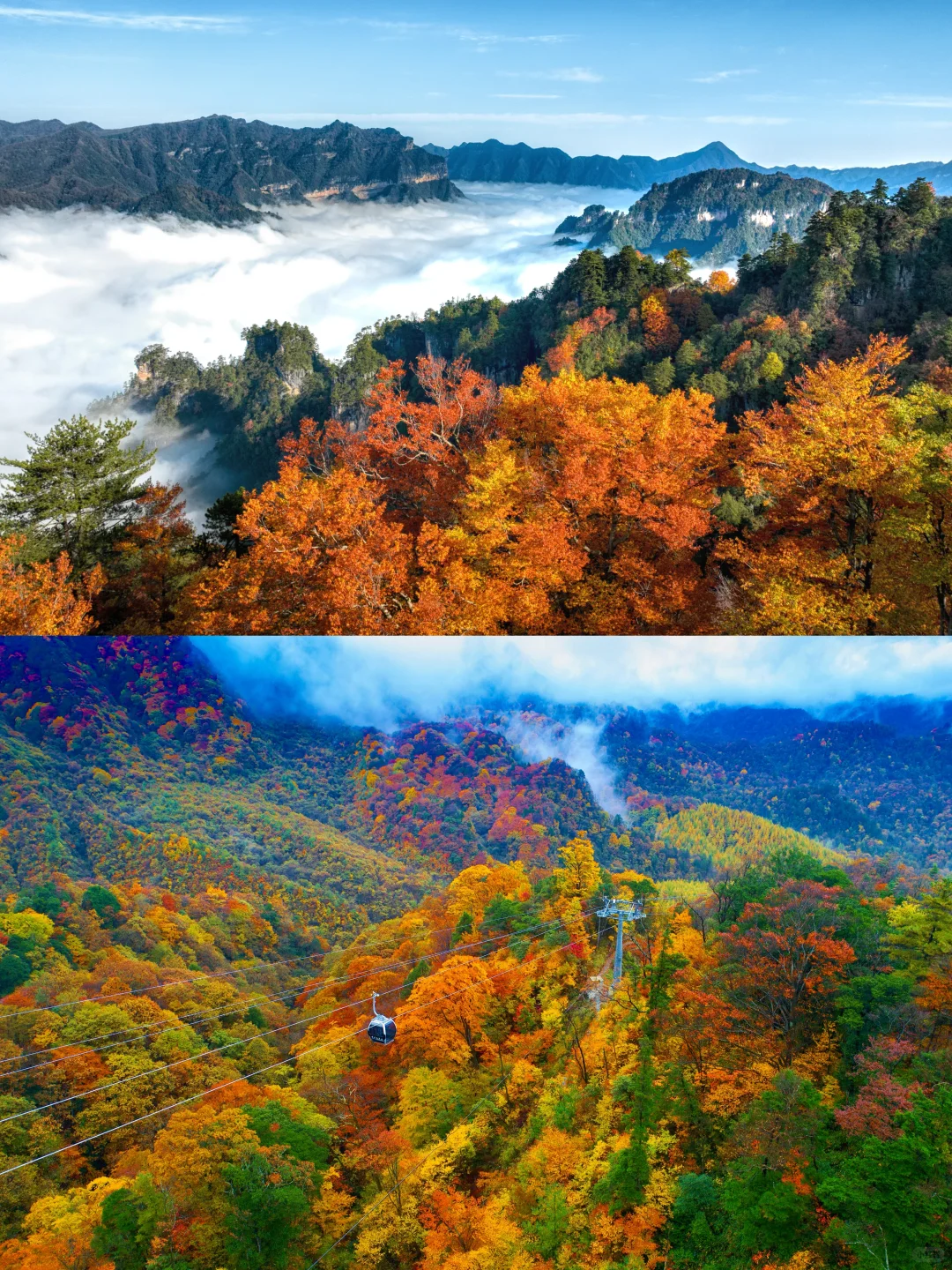 国家地理没骗我！这里的秋天，美到封神……