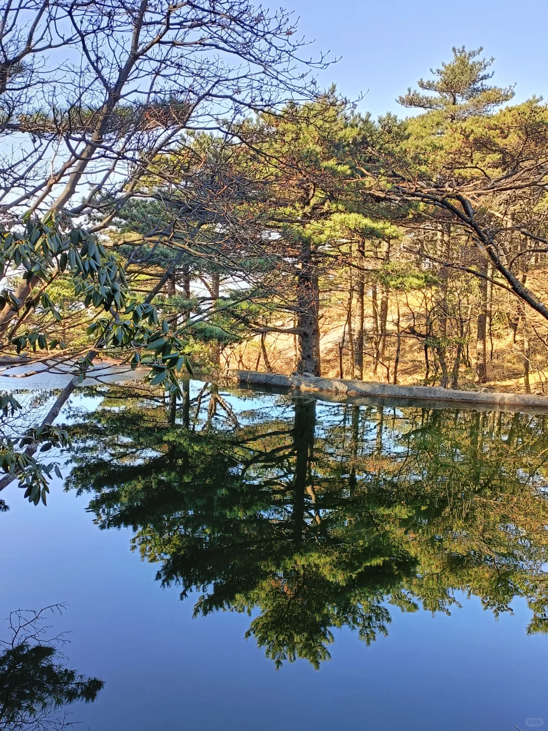 12.08大美黄山！
