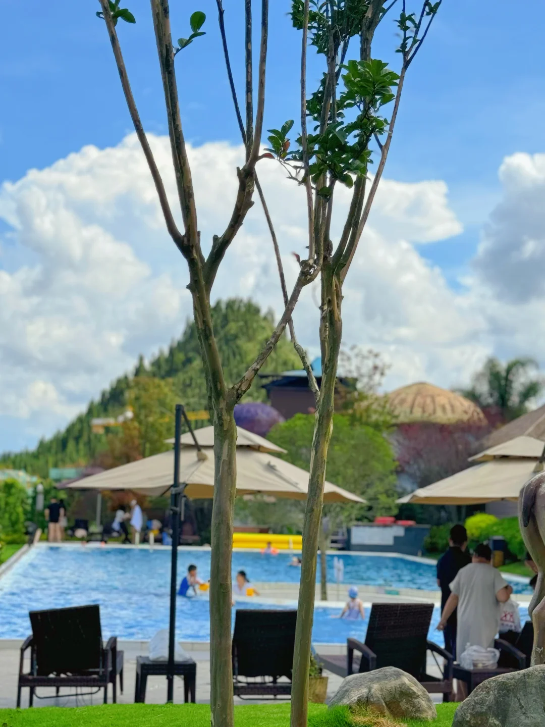 今年暑假,只想带娃去一个地方:贵州兴义