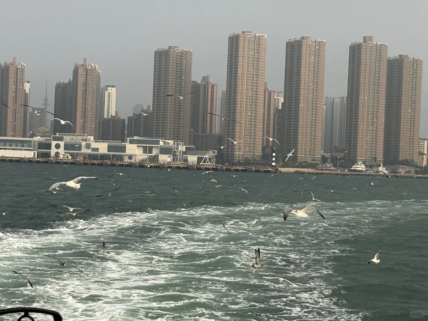 我的山东之旅结束啦