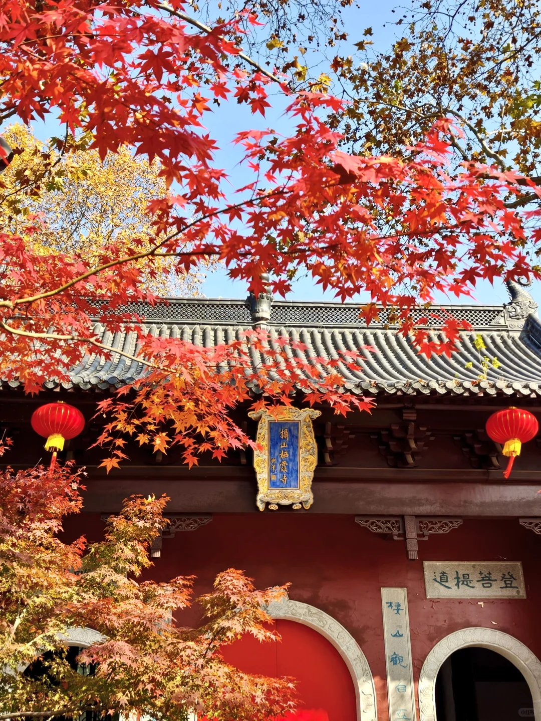 接下来南京的秋色是栖霞山给的🍁