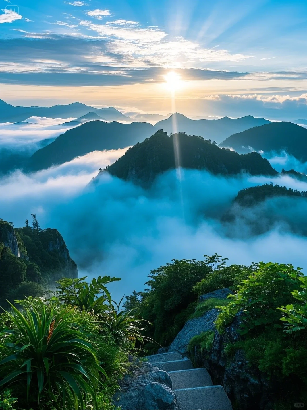 不想上班，去山顶看云海