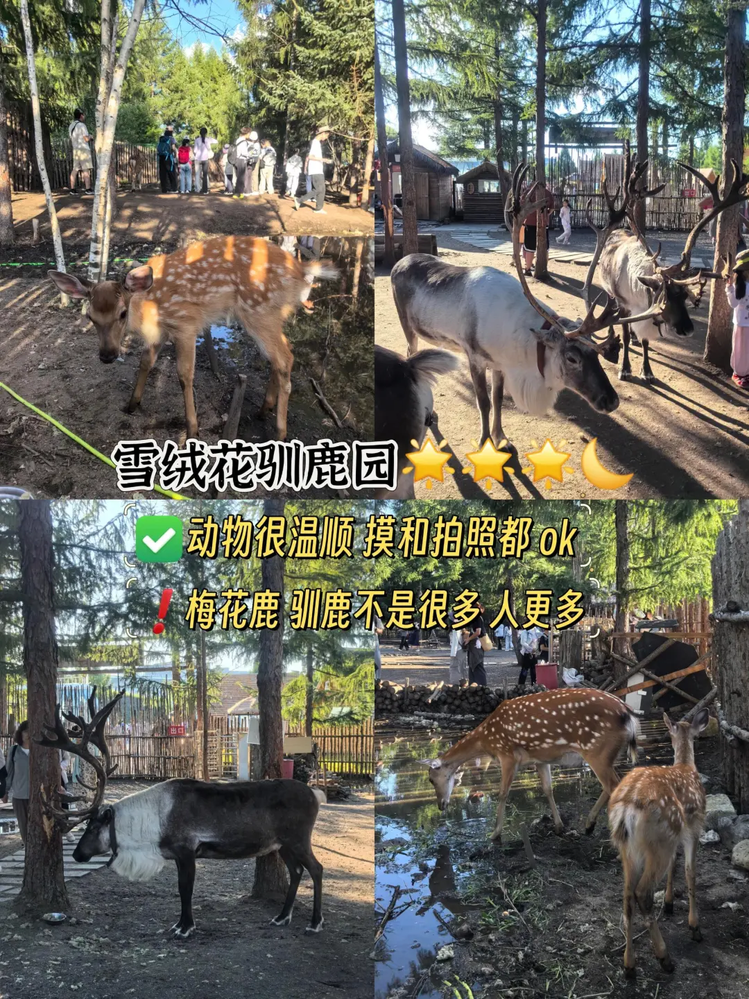 深度体验二道白河镇
