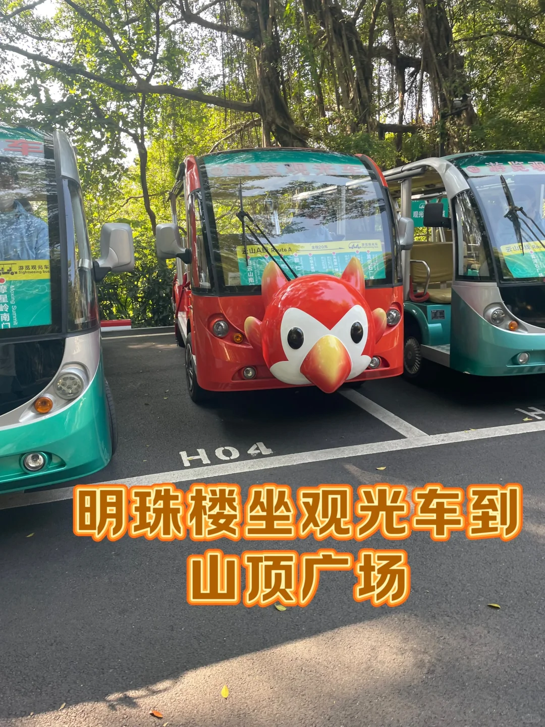 广州必玩景点白云山无痛遛娃路线（附攻略）