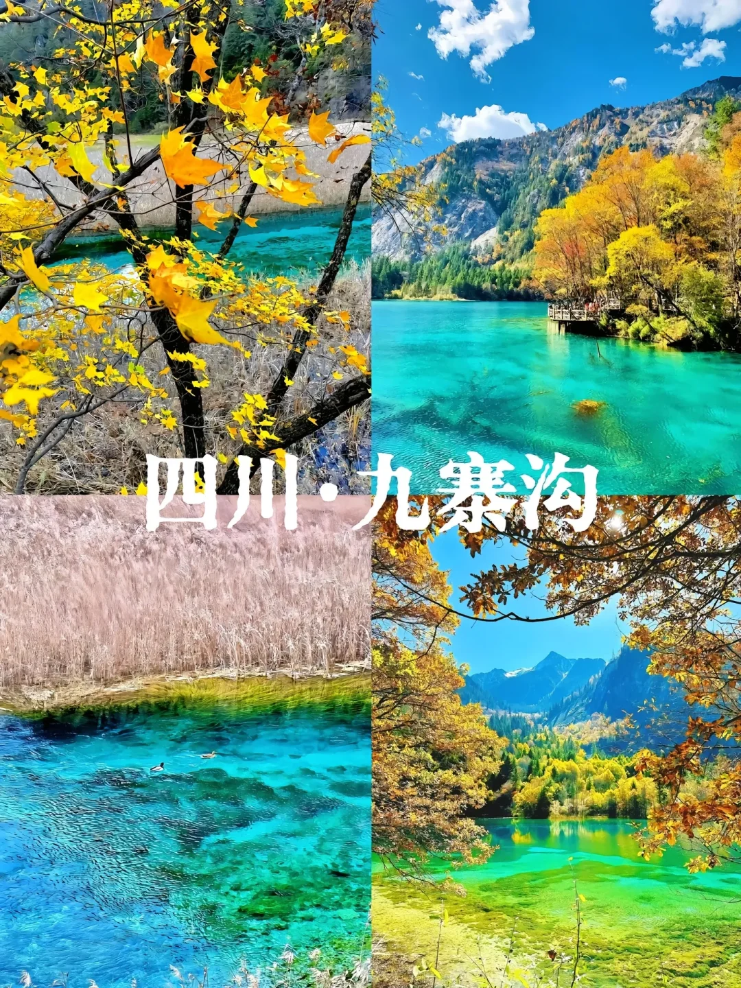 含金量超高的4个5A级景区！！