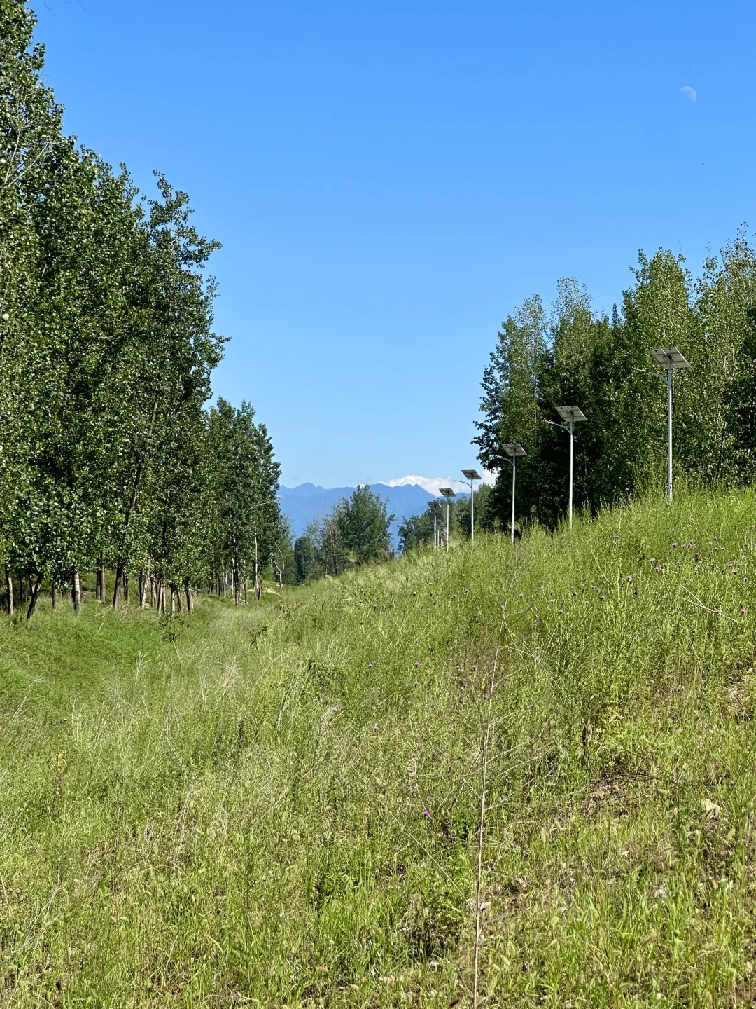 秦岭山与河视频没想到好多人喜欢，图片安排