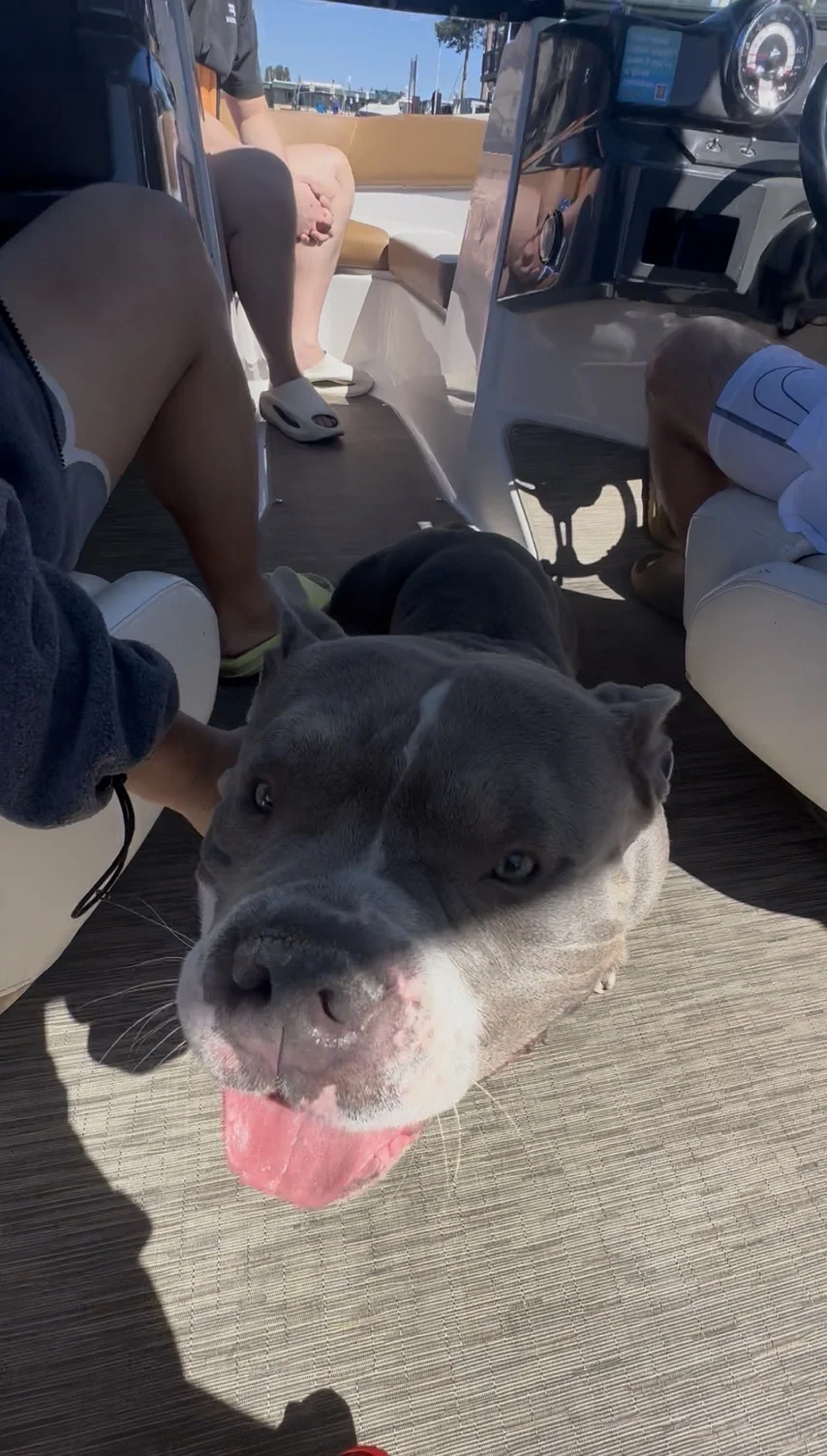 𝓁𝒶𝓀ℯ 𝓉𝒶𝒽ℴℯ 𝓊 𝒽𝒶𝓋ℯ 𝓂𝓎 💙