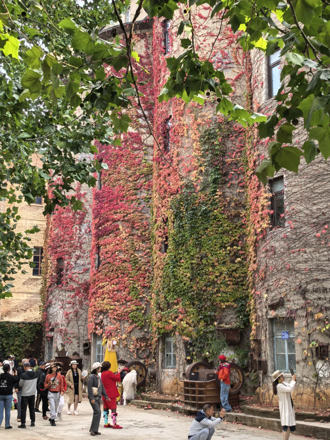 10.16日大连实况|秋天的大连🍁