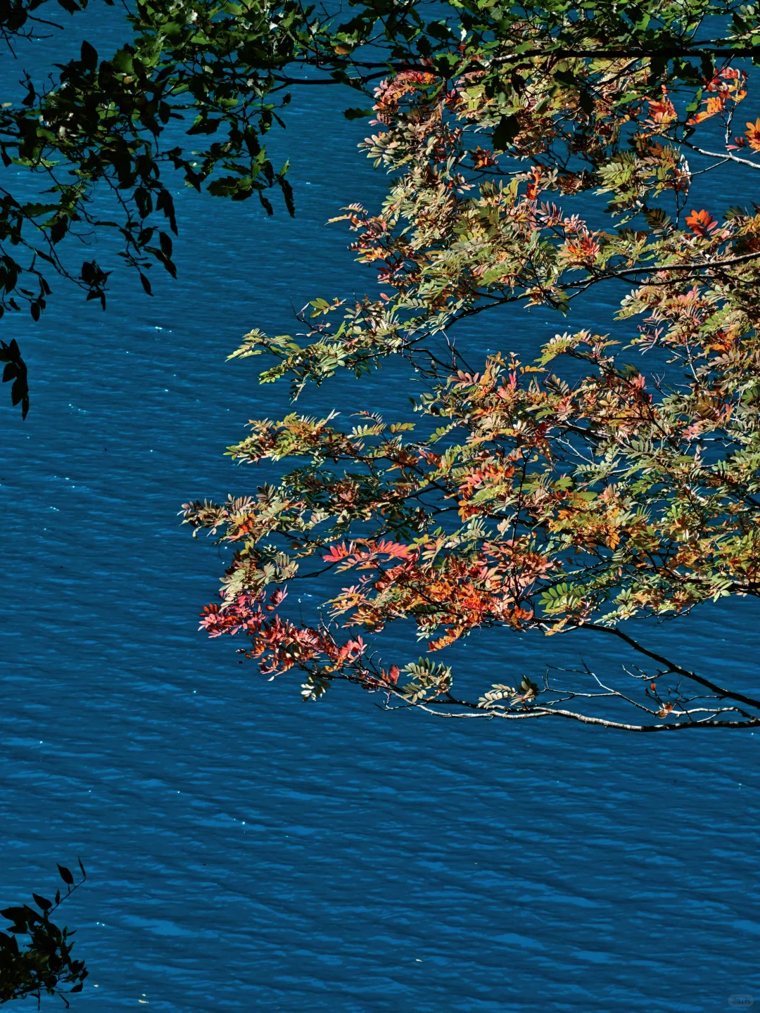 九寨沟很美,但我不会再去,原因在最后一张