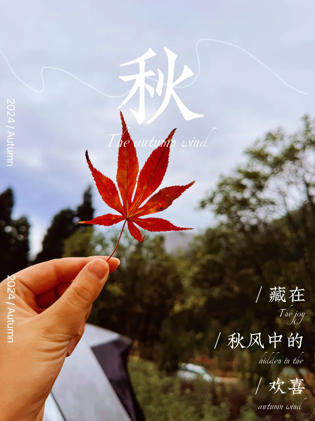 瓦屋山一爬一个不吱声