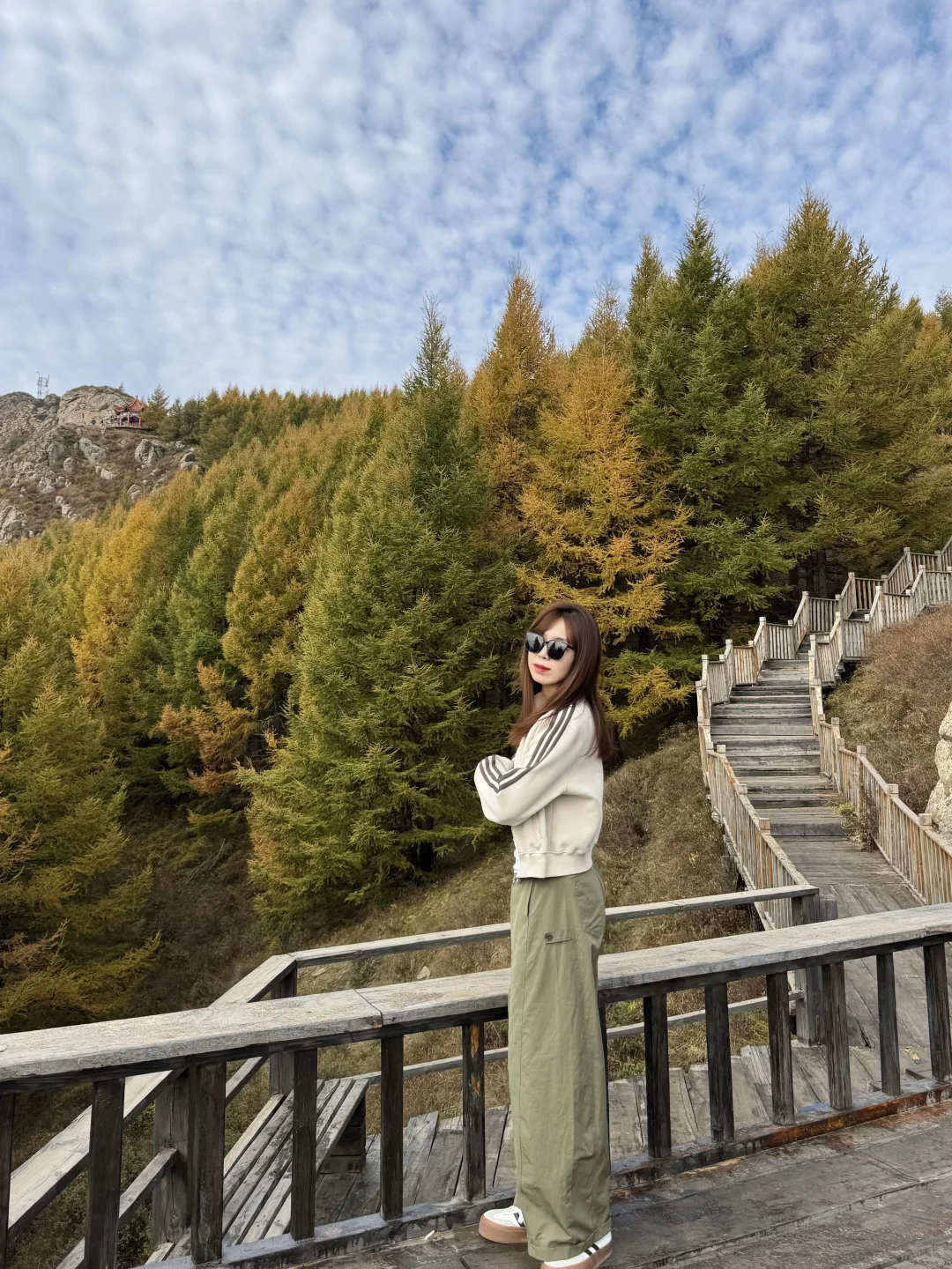 石家庄出发！这么美的童话杉林没人知道🍂