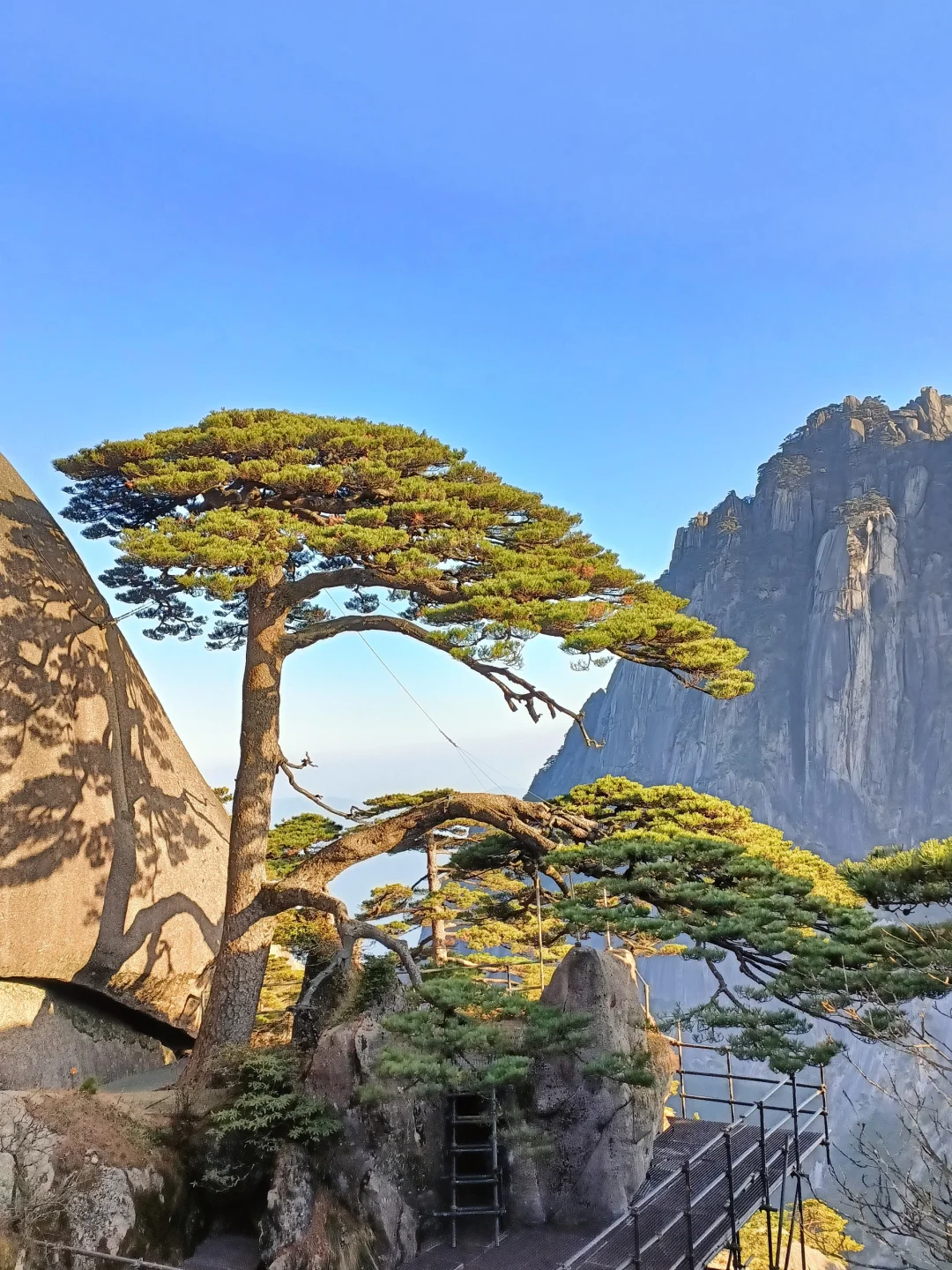 12.08大美黄山！