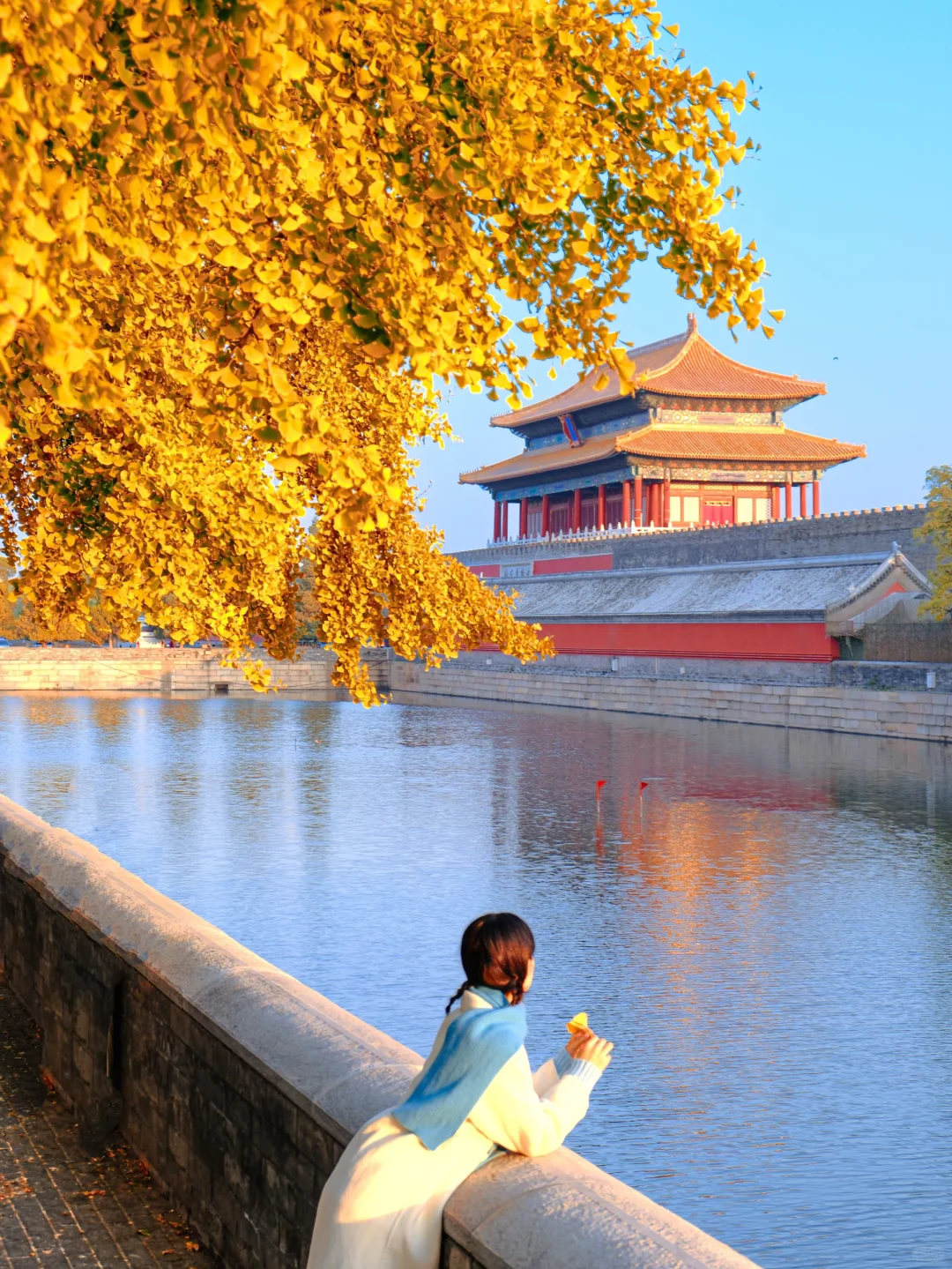 秋天如果来北京🍂我会带你走这条赏秋路线❗️