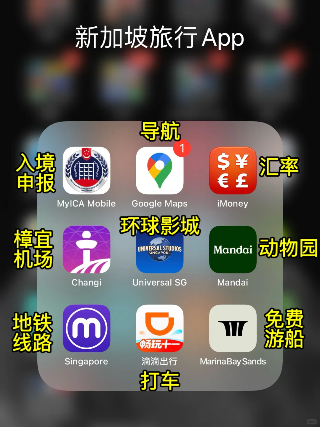 J 人给P人一点震撼‼新加坡四日游不走回头路