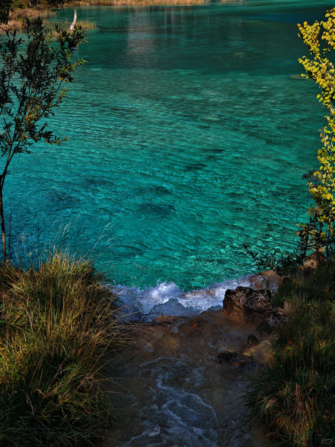 九寨沟很美,但我不会再去,原因在最后一张