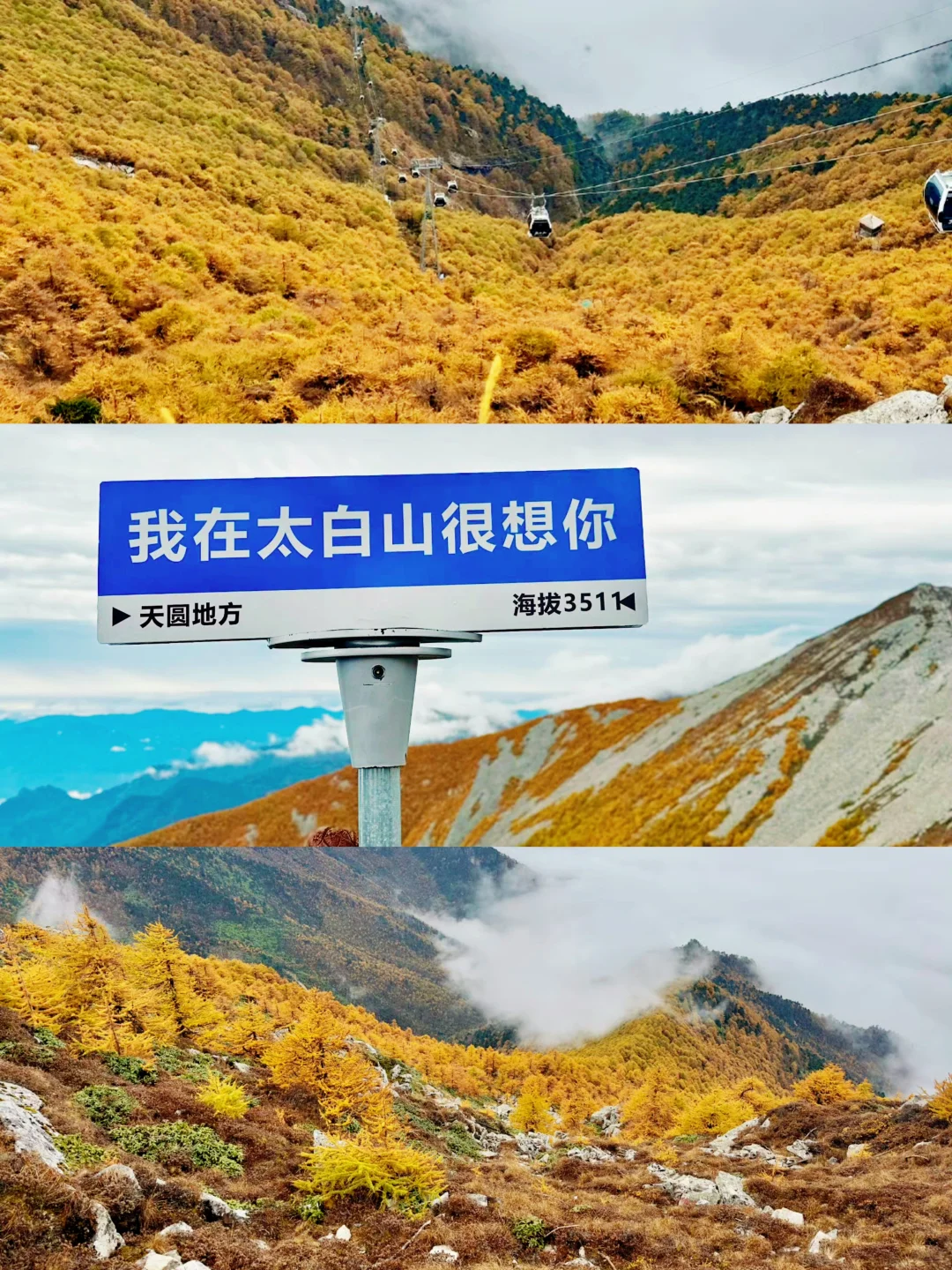 10月太白山赏秋天花板🍁景区1日游玩指南
