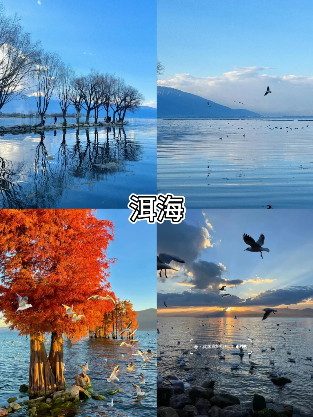 云南旅游必打卡九大景点攻略