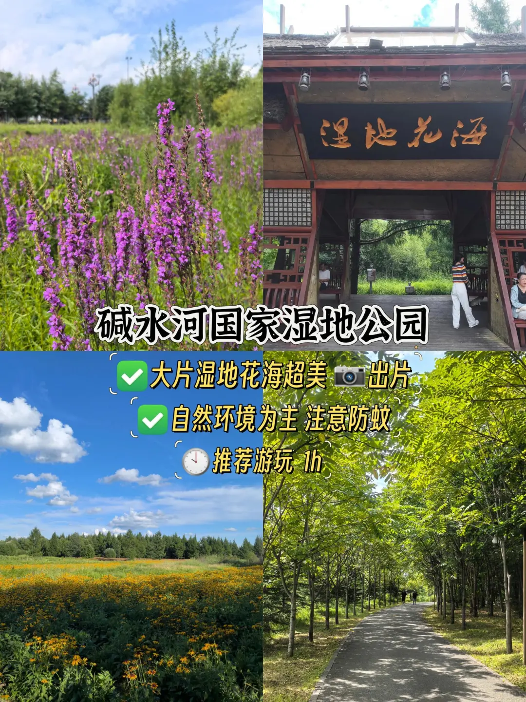 深度体验二道白河镇