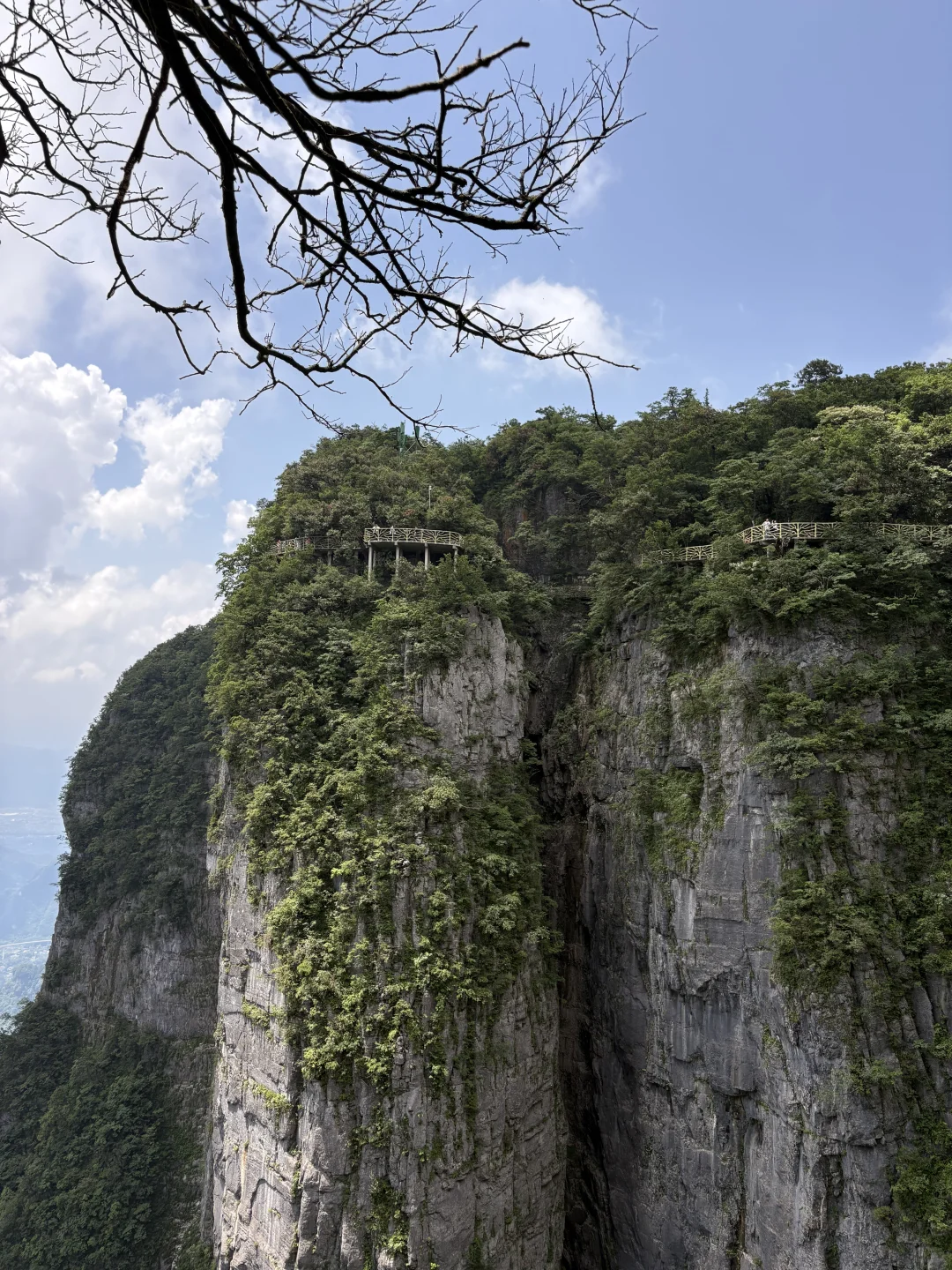 天门山➡️国家森林公园