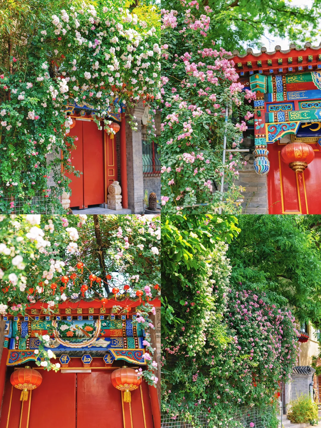 北京City walk｜初夏胡同🌺浪漫一日游路线🔥