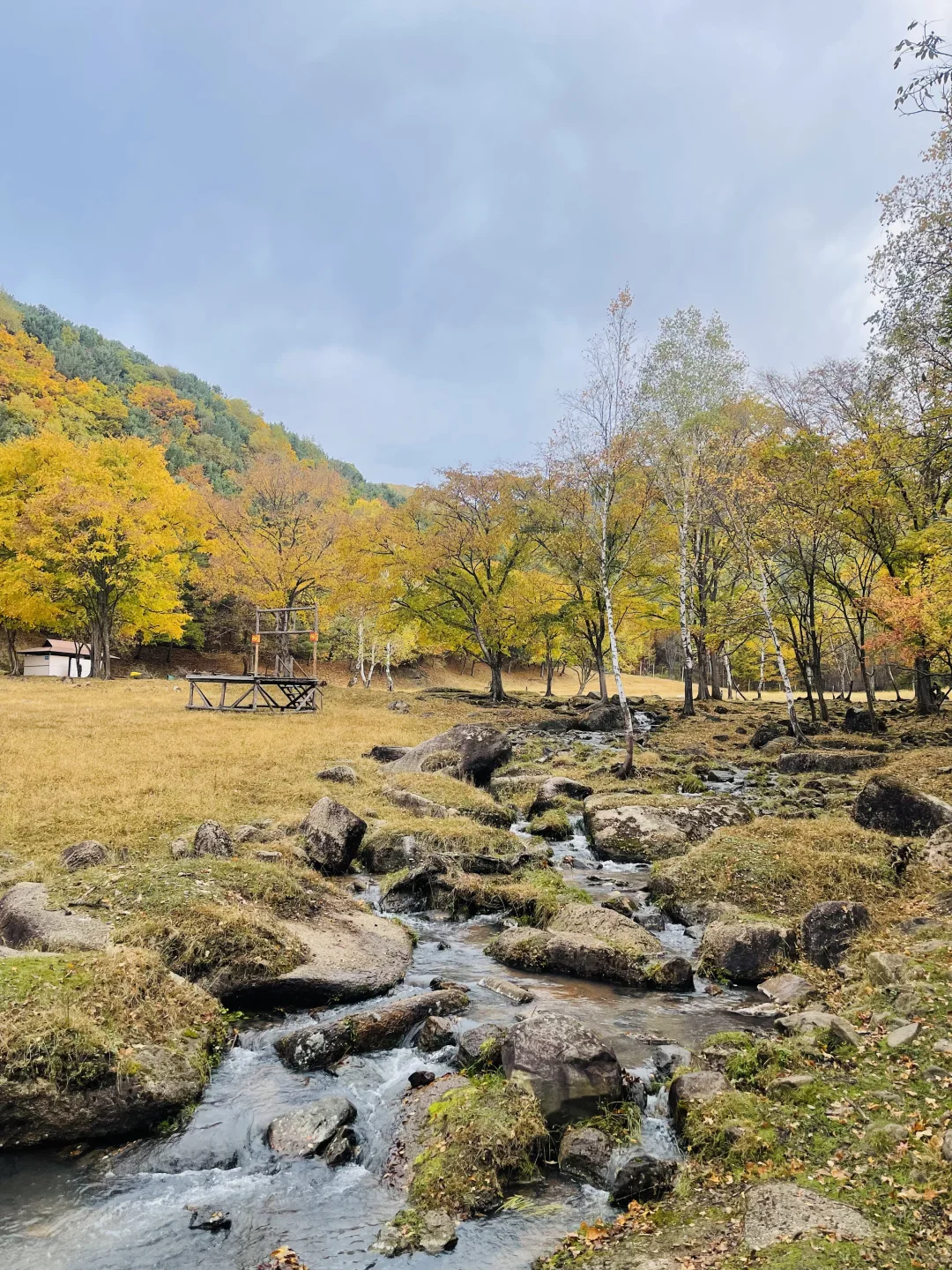 独自去旅行-伊春：女生一人，挑战完全大交通
