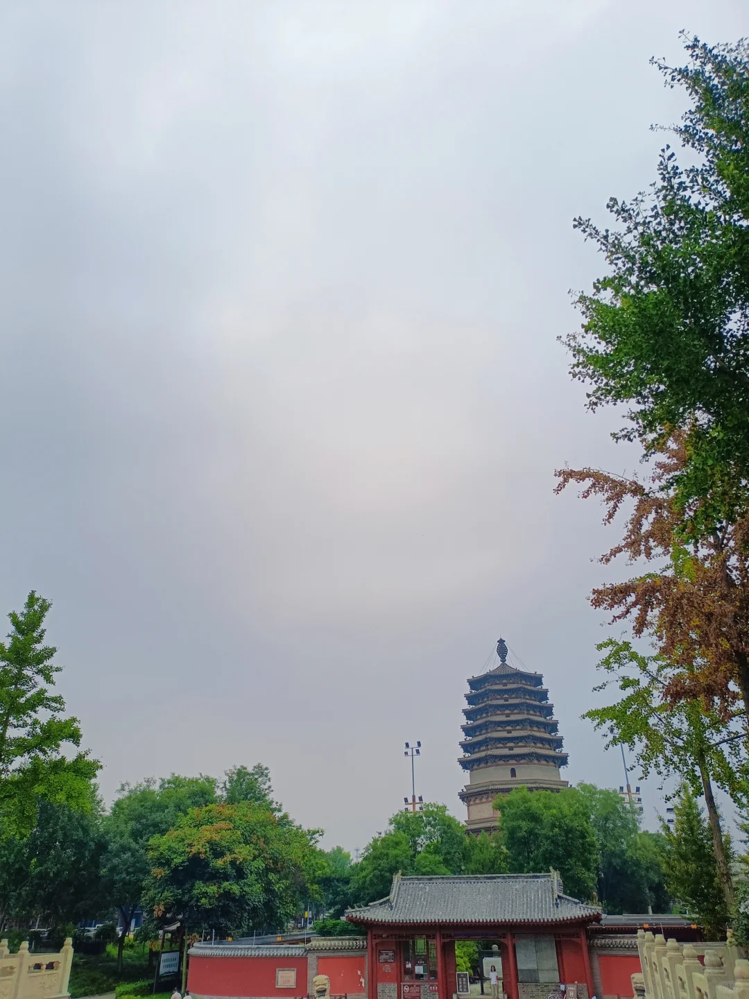 📍𝐙𝐡𝐞𝐧𝐠𝐃𝐢𝐧𝐠
