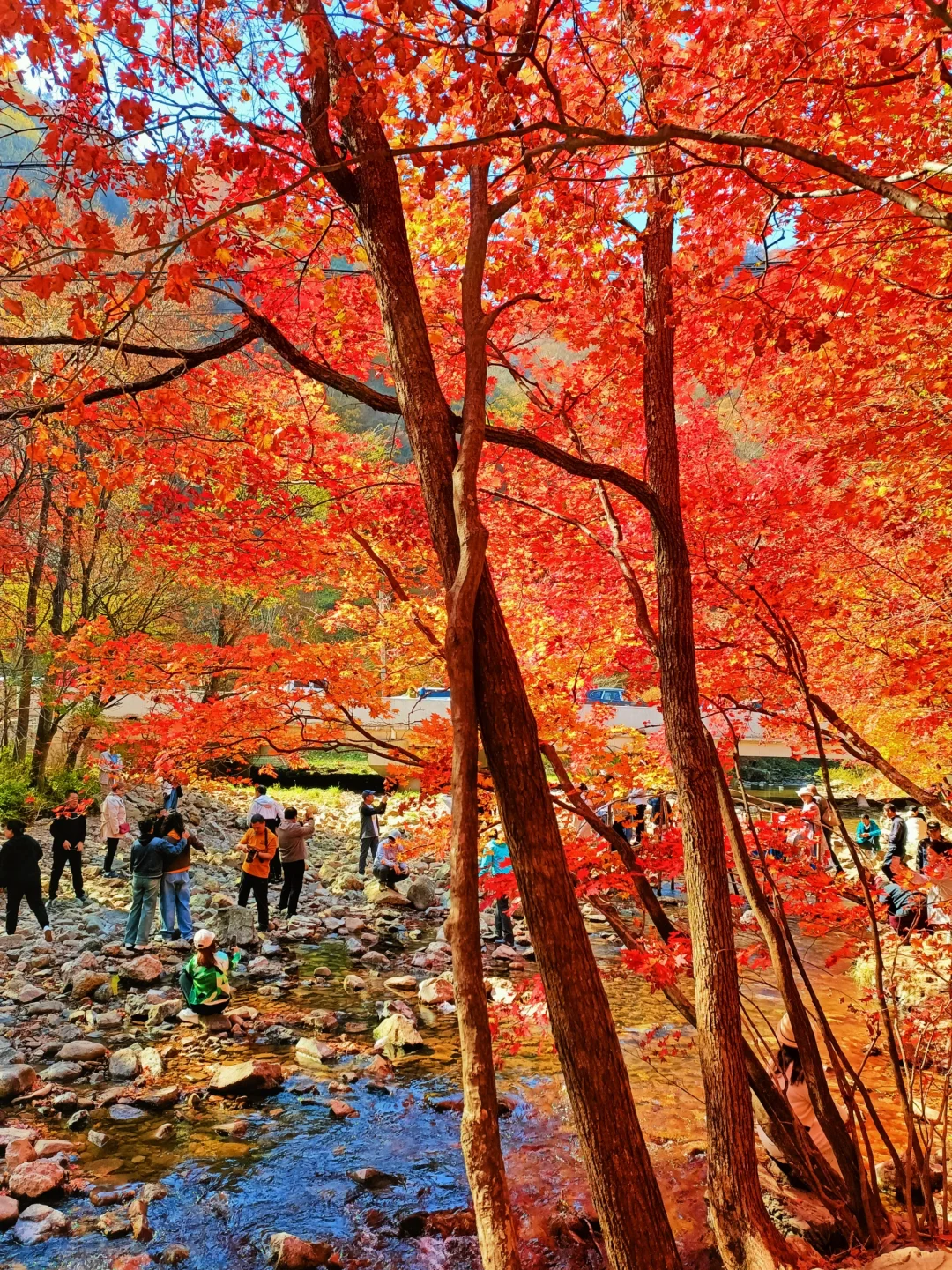 辽宁赏秋|本桓公路免费冷门拍照点详解