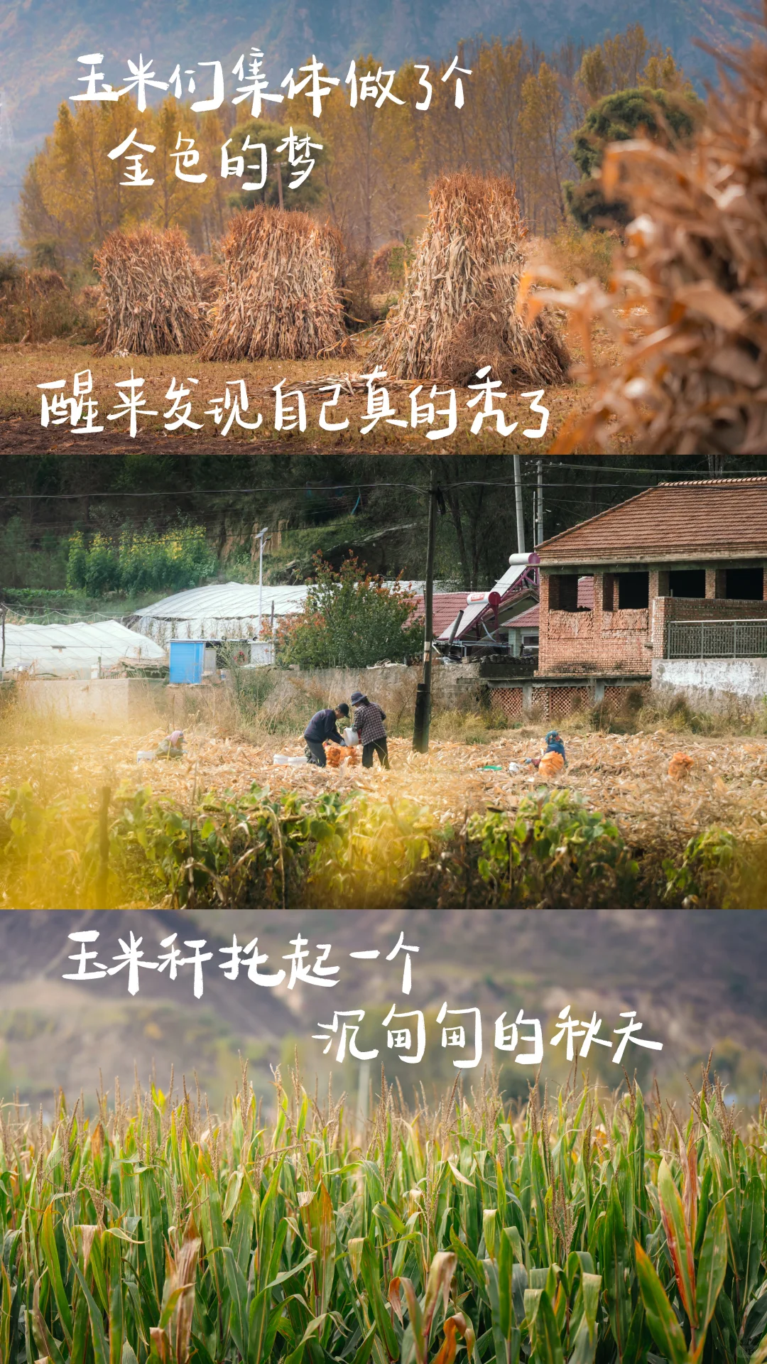 承德小众赏秋地｜层林尽染的五道沟