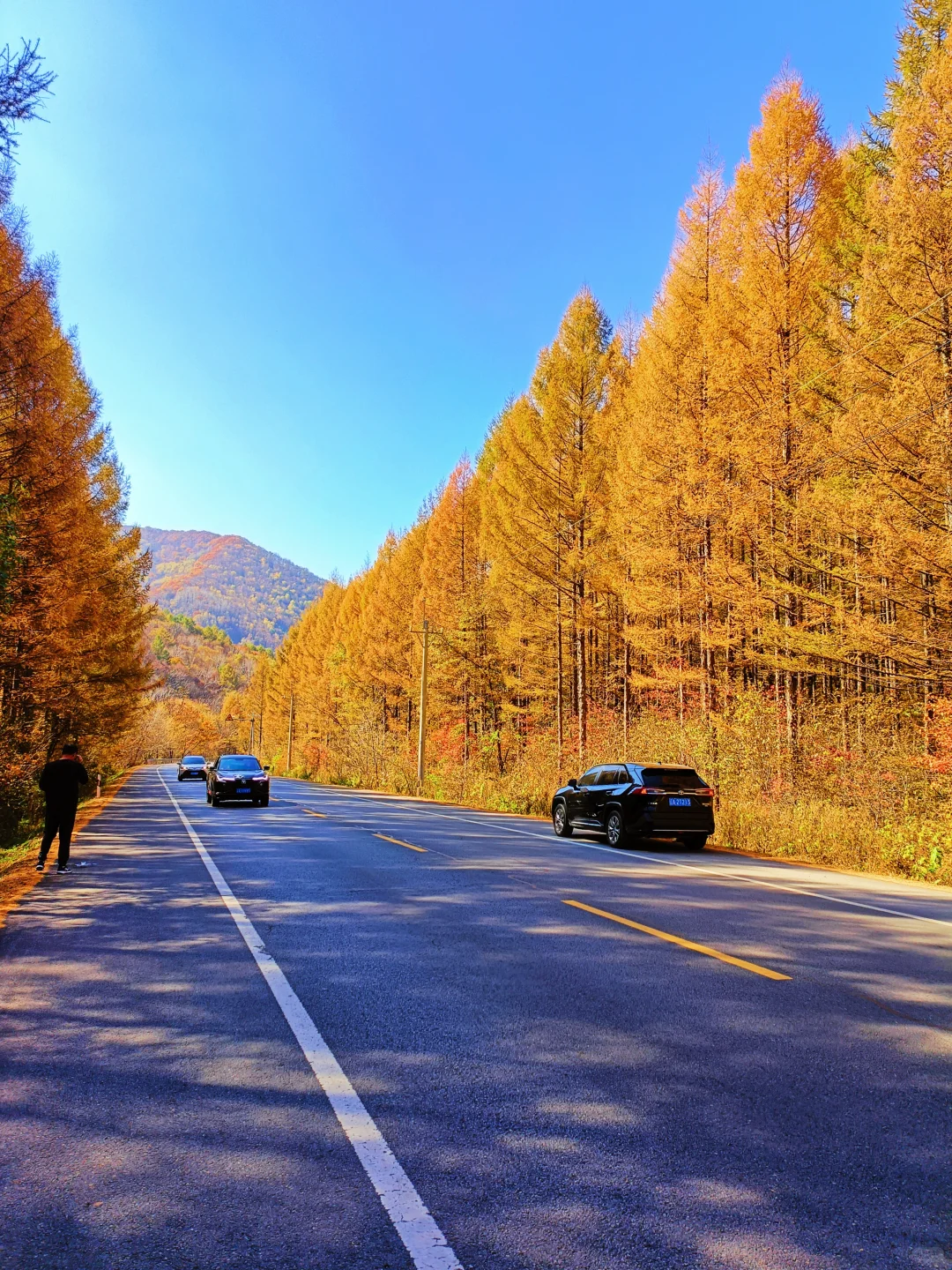 辽宁赏秋|本桓公路免费冷门拍照点详解