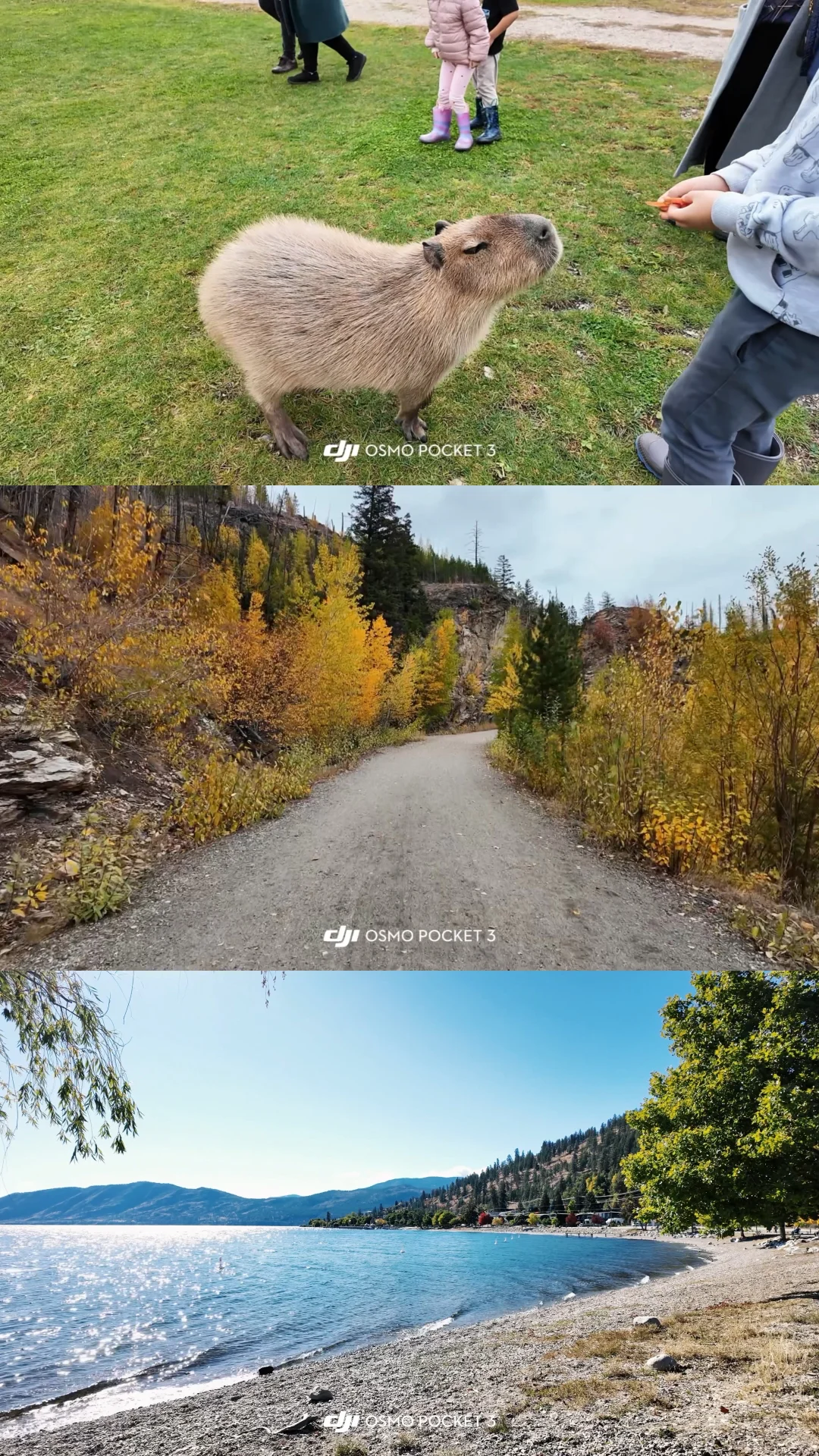温哥华周边游🦘@KELOWNA