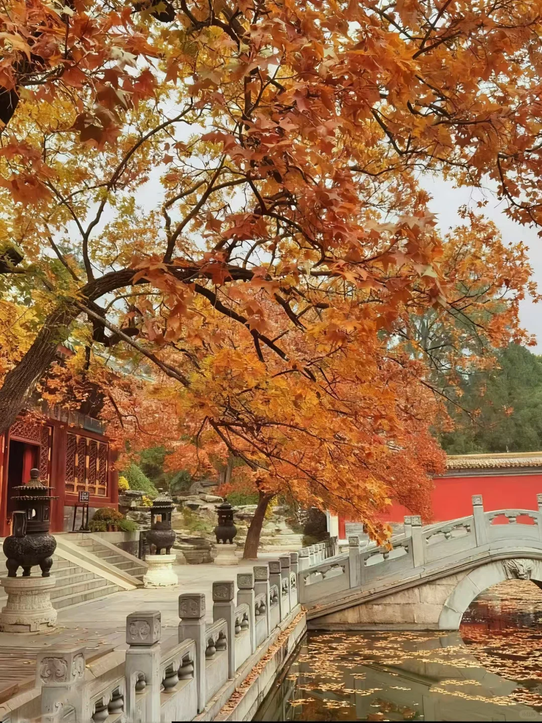 🍁北京秋日顶流！香山公园赏枫指南