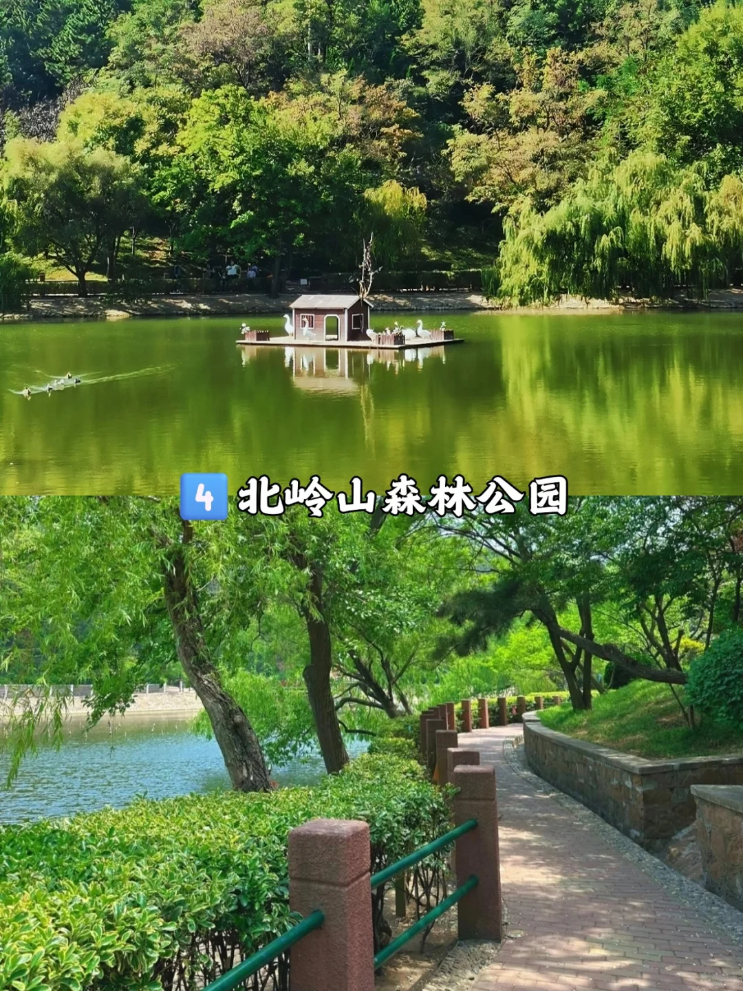 🌊青岛旅游人多到崩溃？快看12个小众景点