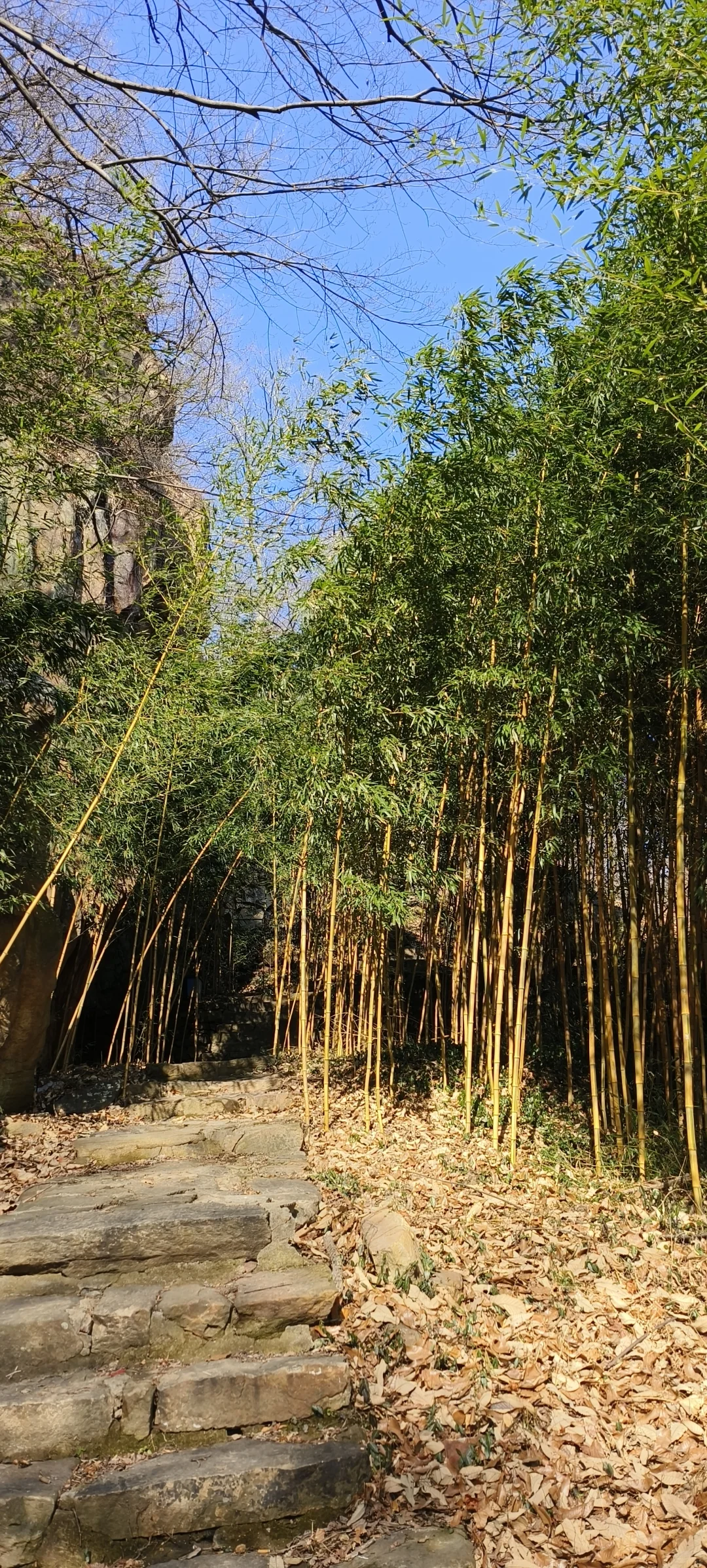 连云港（44）-延福观