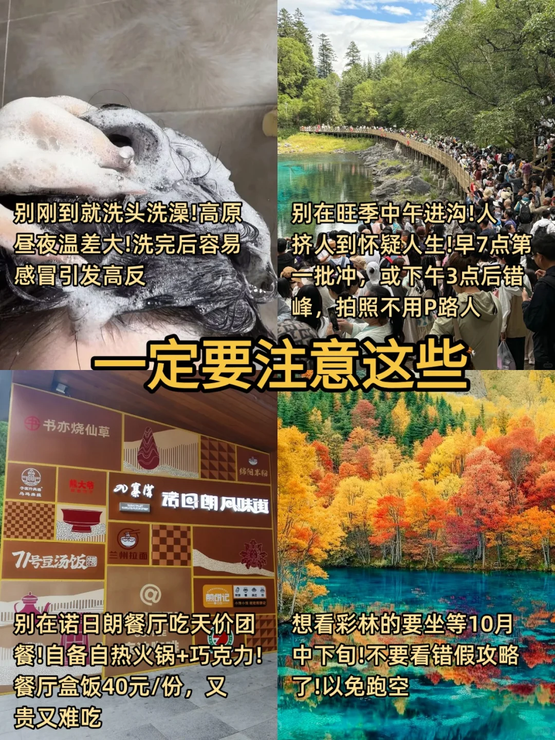 为什么九寨沟旅游前没刷到这篇😭