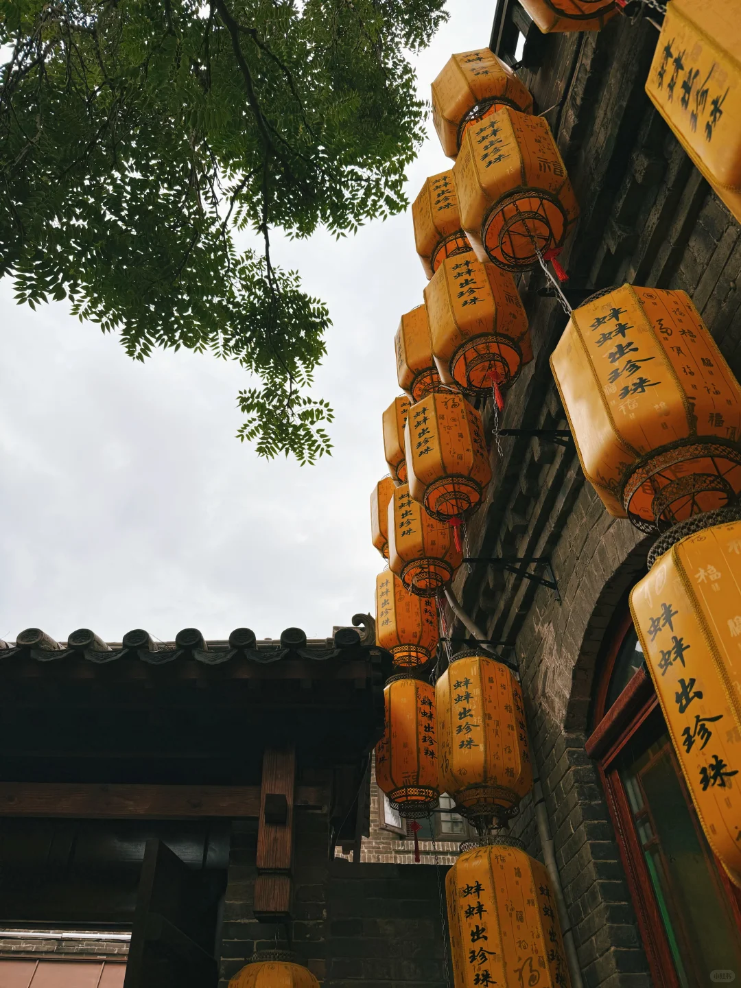 邯郸道city walk的一天