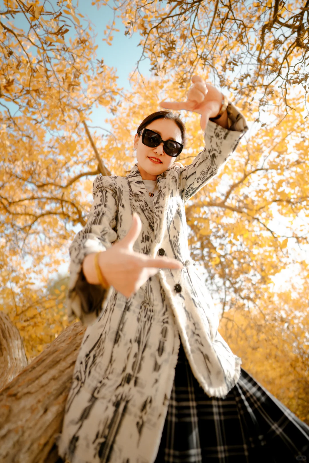 千年胡杨🍂