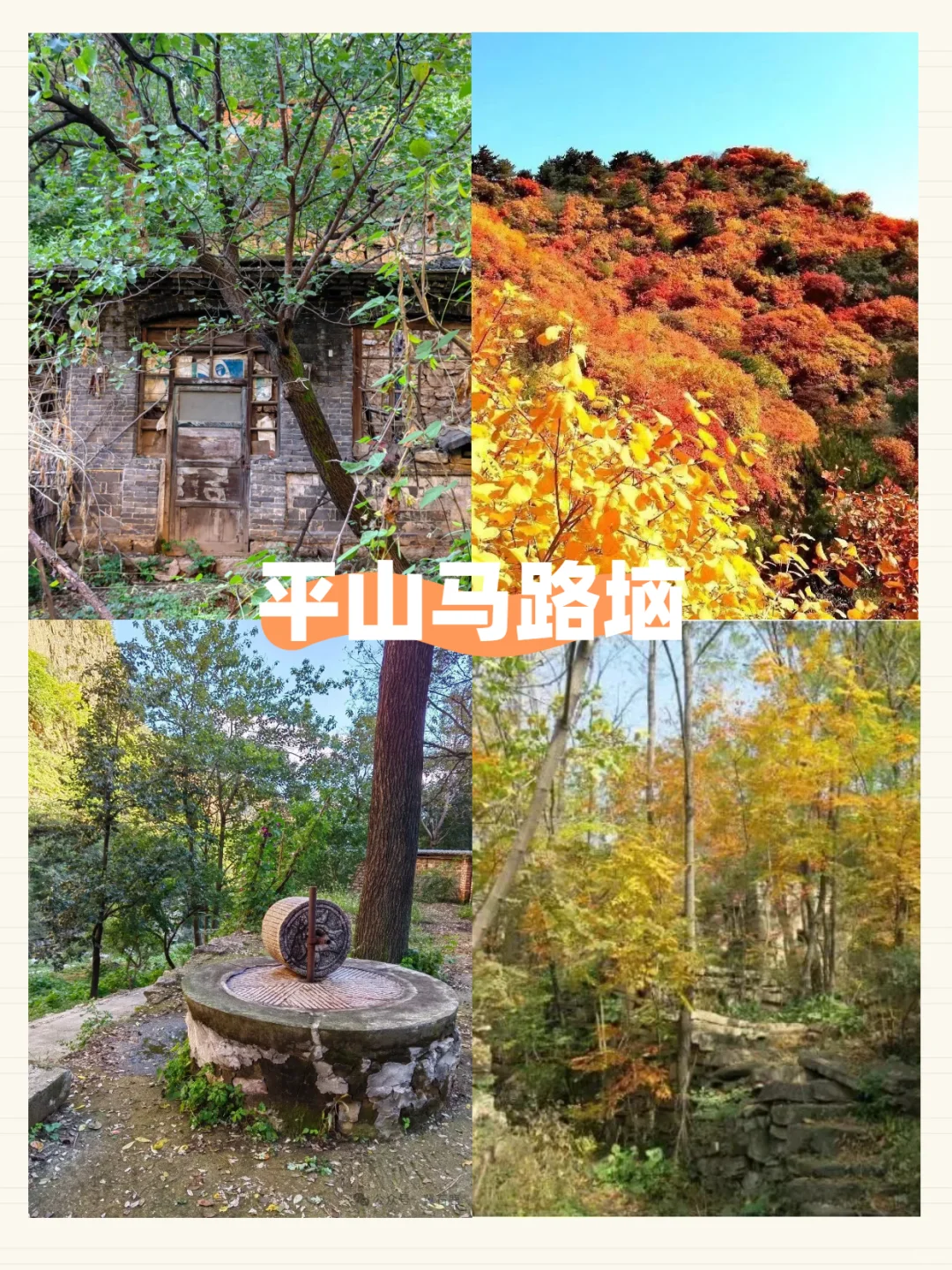 石家庄红叶景区段位排行‼️团建不踩雷！