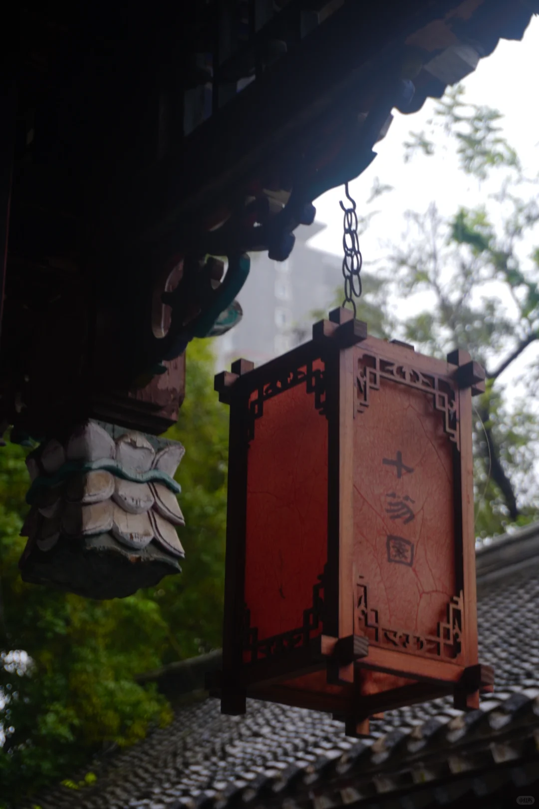 潍坊印象: 肆意的老头乐&一言难尽的景区