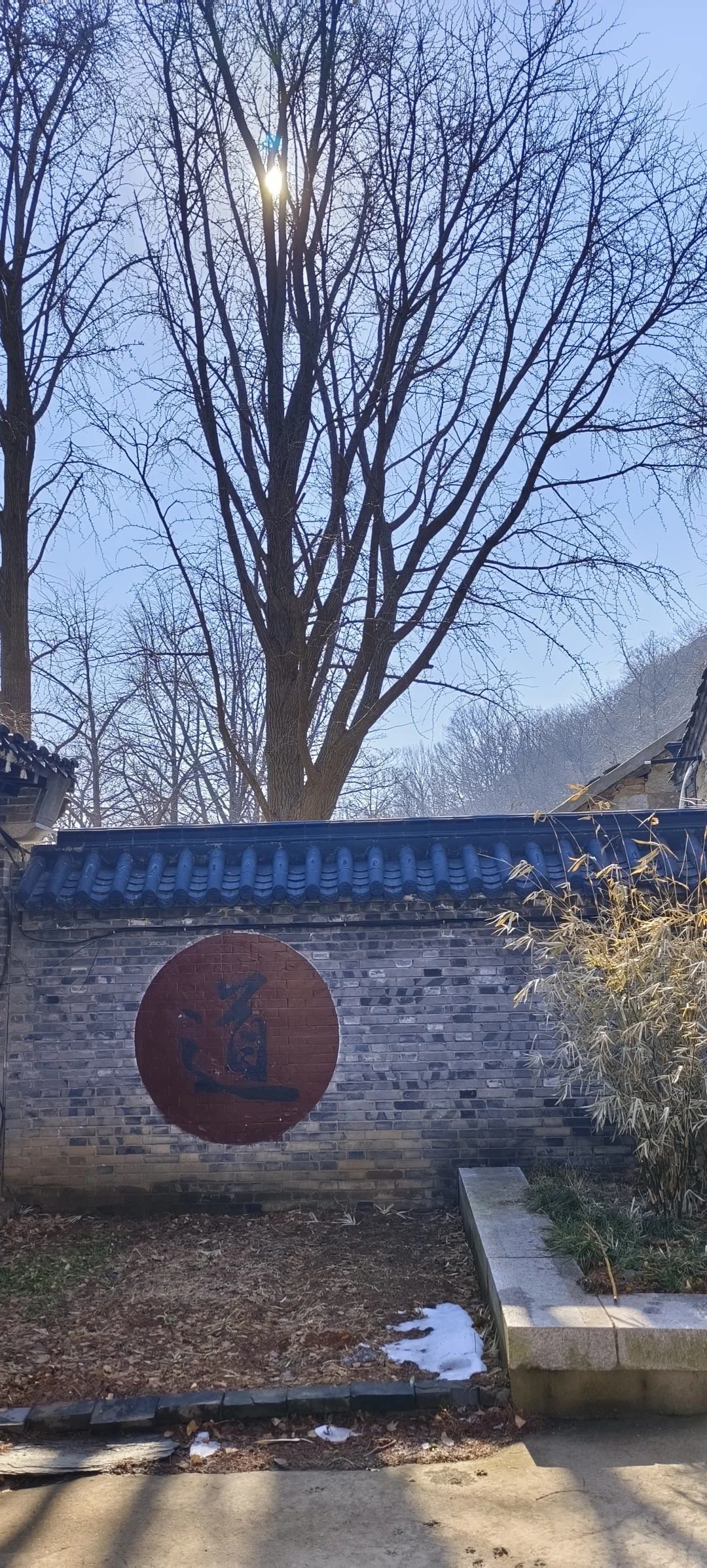 连云港（44）-延福观