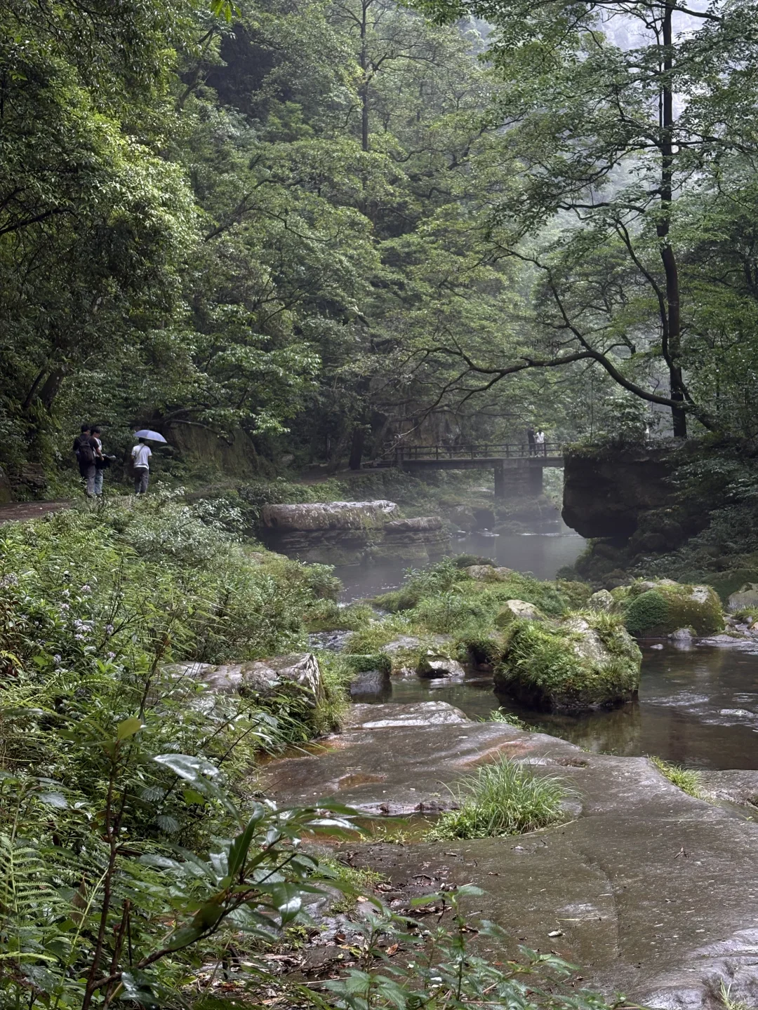 天门山➡️国家森林公园