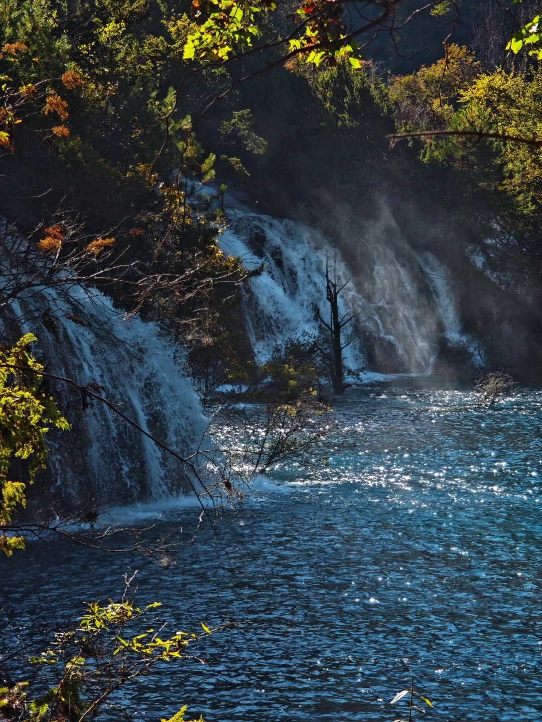 九寨沟很美,但我不会再去,原因在最后一张