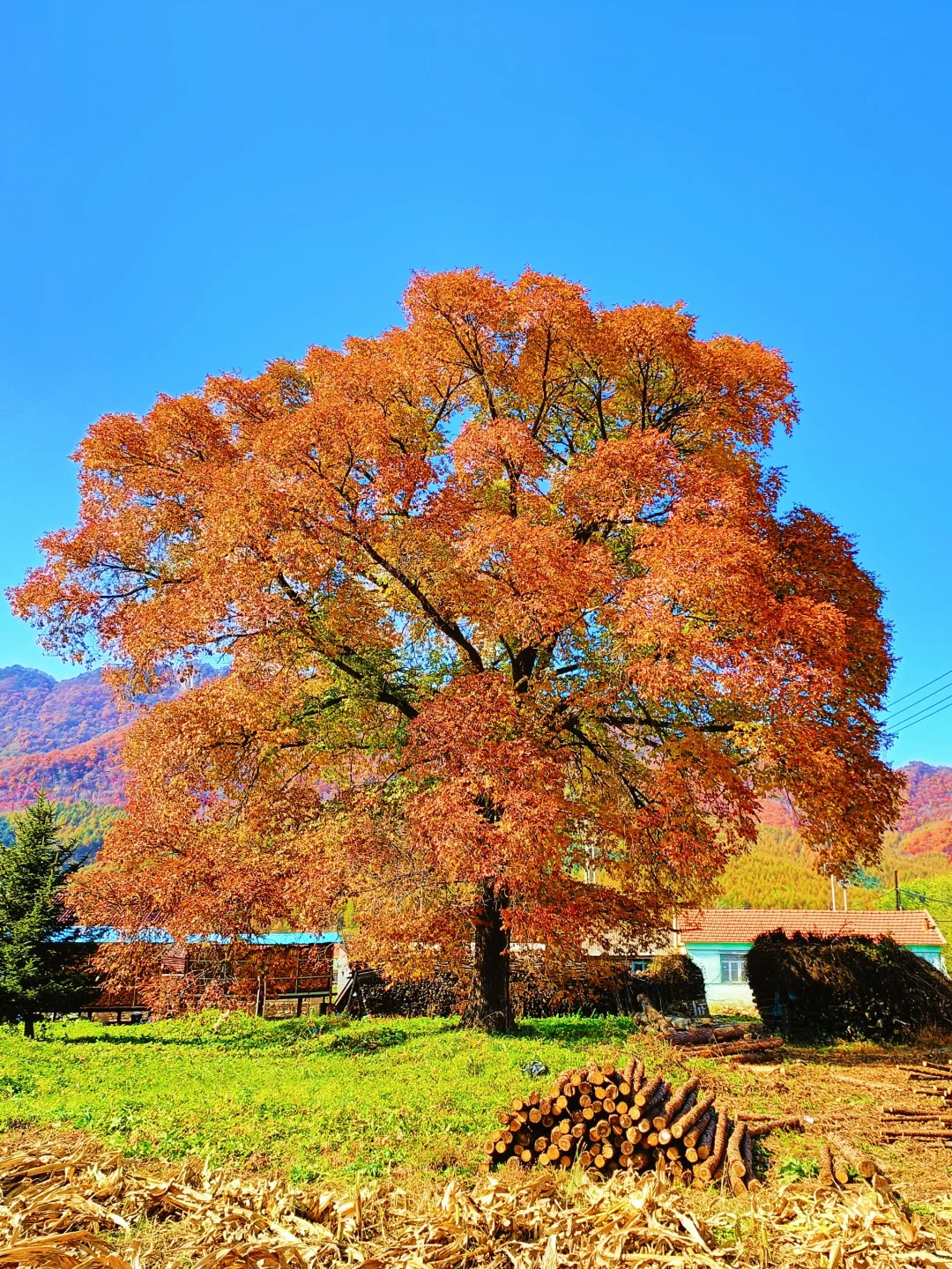 辽宁赏秋|本桓公路免费冷门拍照点详解