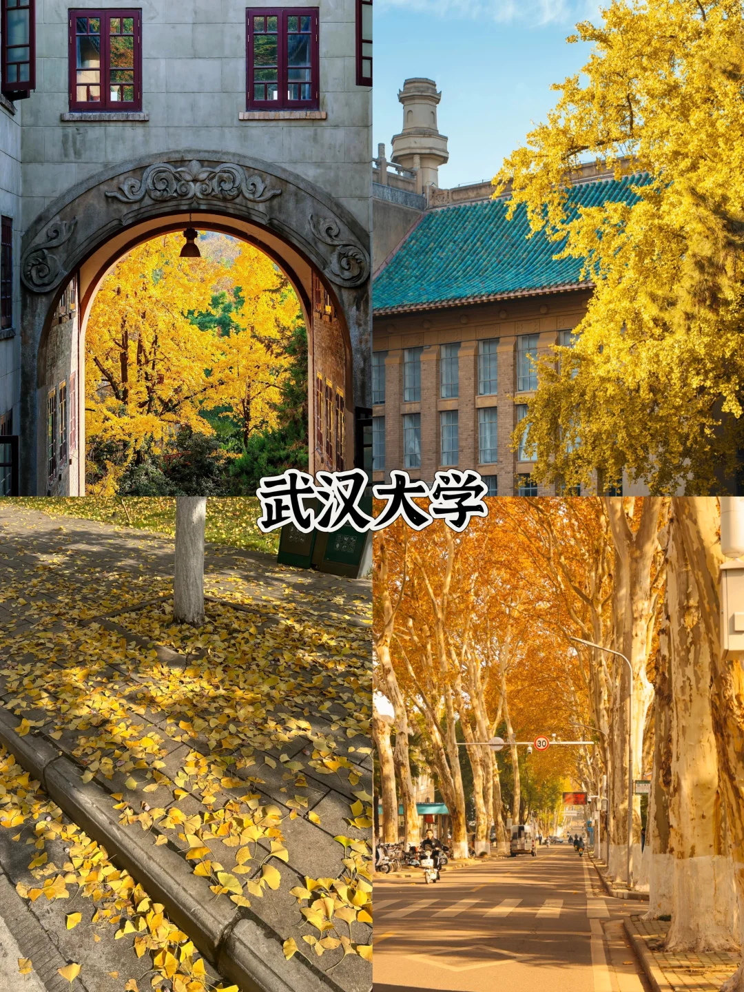 2025武汉赏秋8大打卡地！