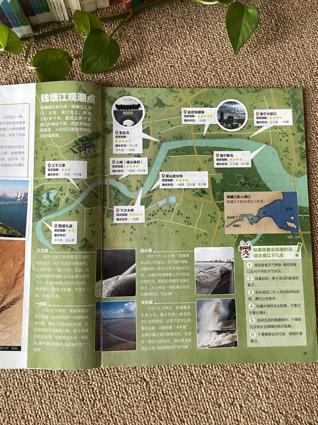 没去杭州？先看《好奇号》！📚